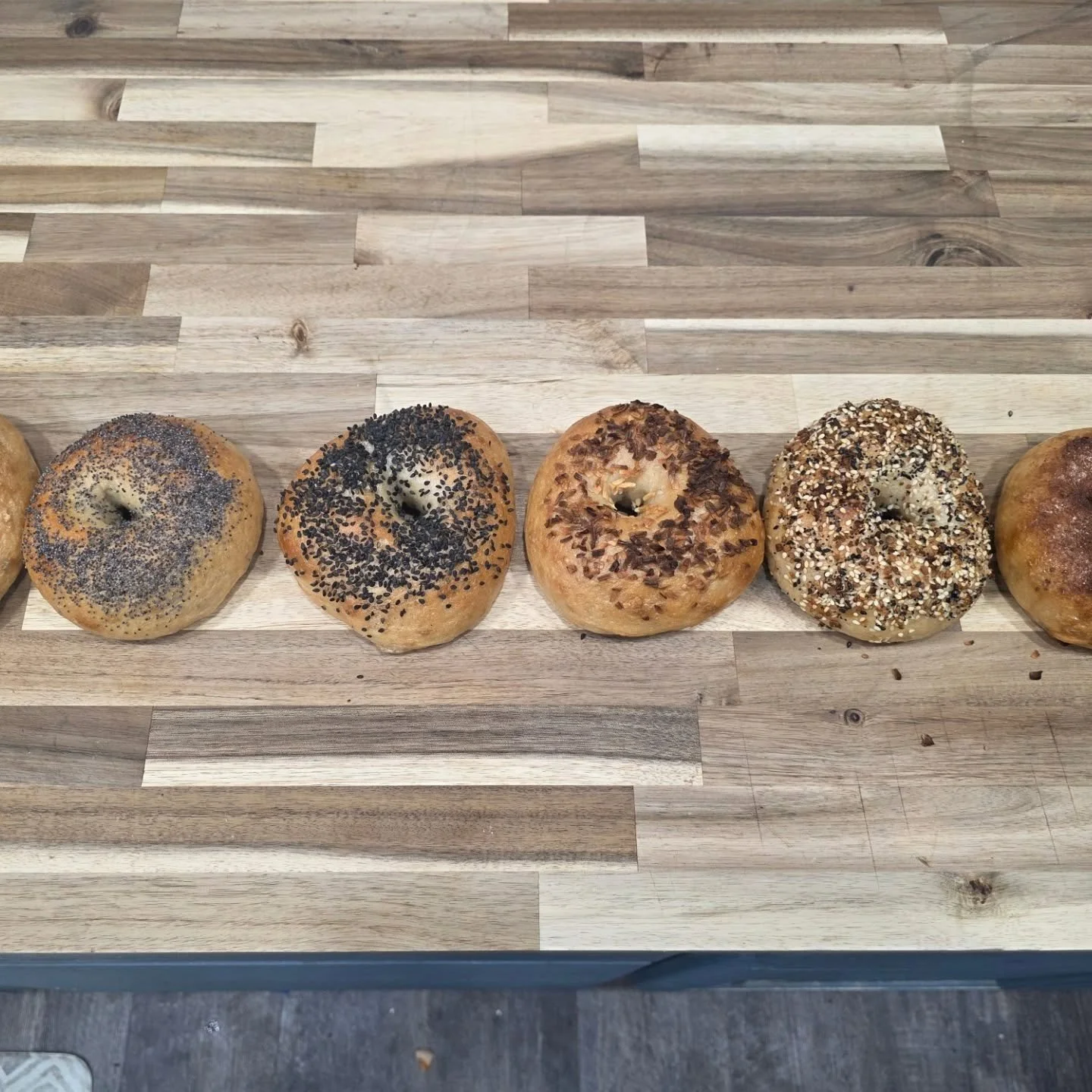 What's your favorite sourdough bagel type:  Salted, Poppy Seed, Sesame Seed, Onion, Everything or maybe something sweet like Cinnamon Sugar. We've got all these and more. Also available are Blueberry, Chocolate Chip, Black Pepper, and Black Garlic Ro