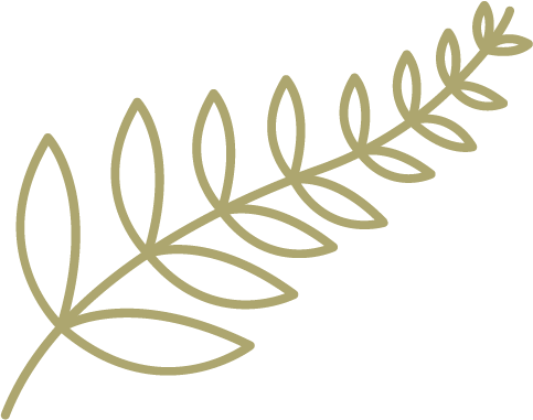 Twin Oaks Classical School fern icon to represent Charlotte Mason