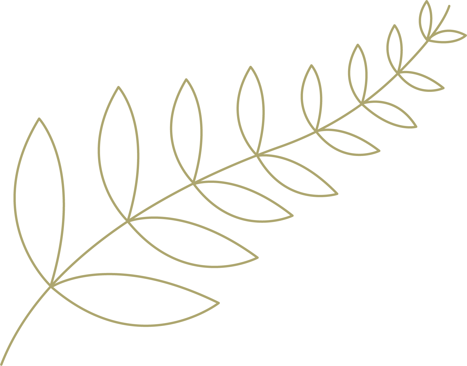 Twin Oaks Classical School Fern icon to represent Charlotte Mason