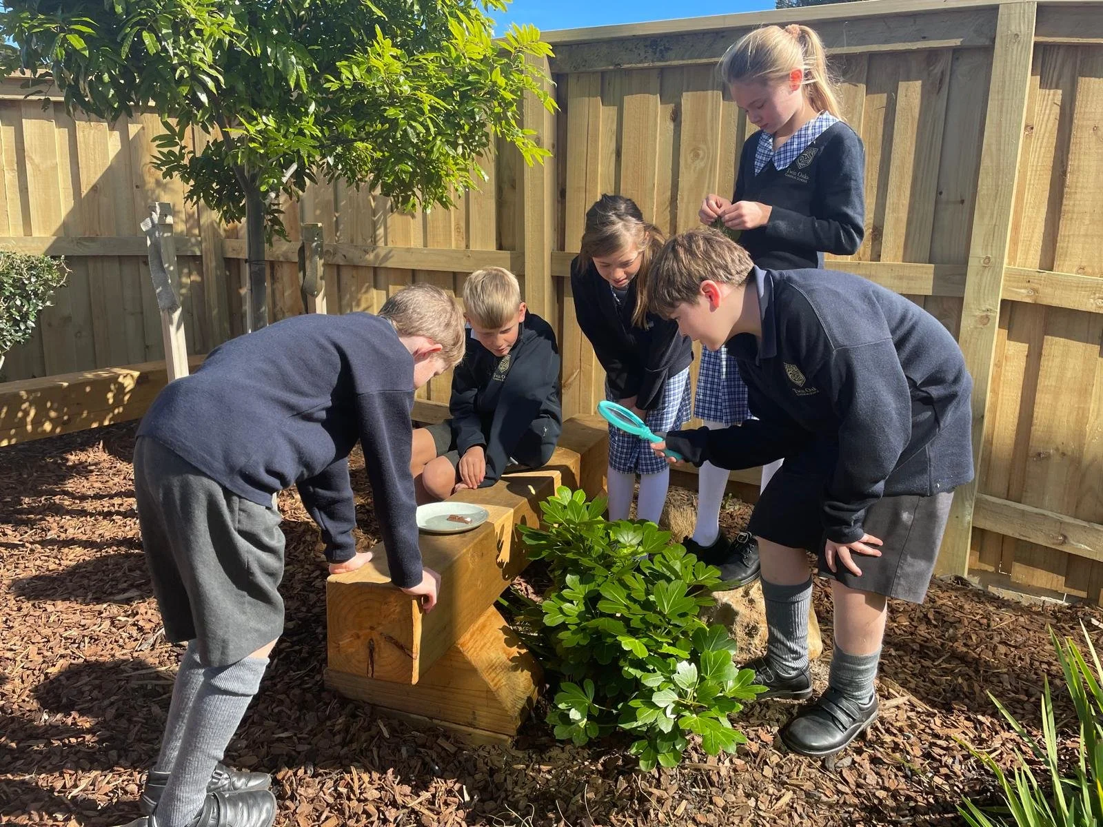 Twin Oaks Classical School Students participating in gardening in the outdoor classroom