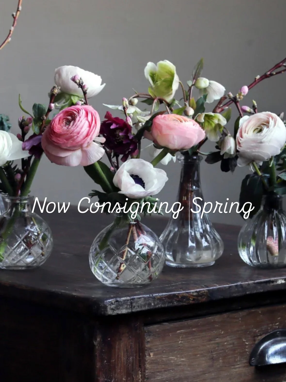 Spring Consignment Intake Is Open 🌸
We Are Looking For:
Pants &amp; Denim
Tops &amp; Tees
Sweaters &amp; Cardigans
Dresses &amp; Skirts
Jackets &amp; Coats
Tanks &amp; Camis
Shoes &amp; Sandals
Bags
Current Consignors, Please Drop Off At Your Conven