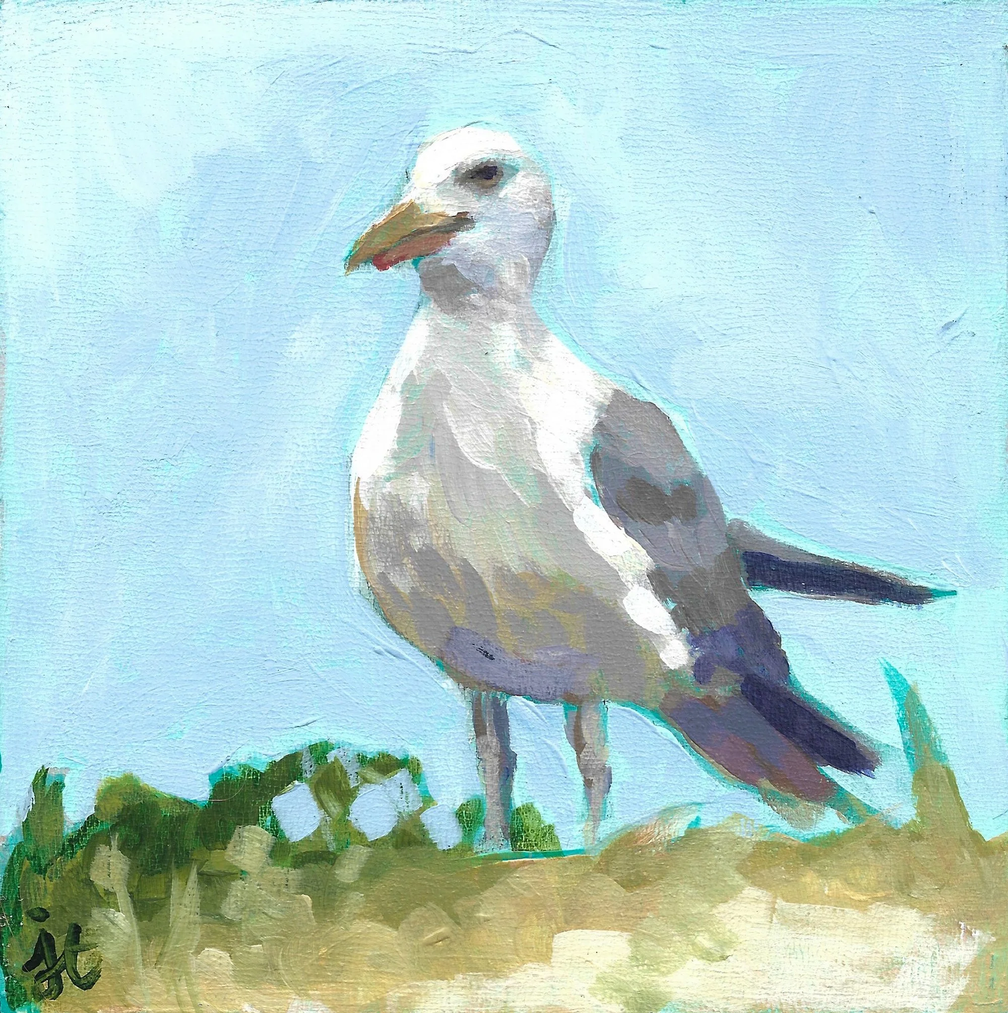 Seagull.jpg
