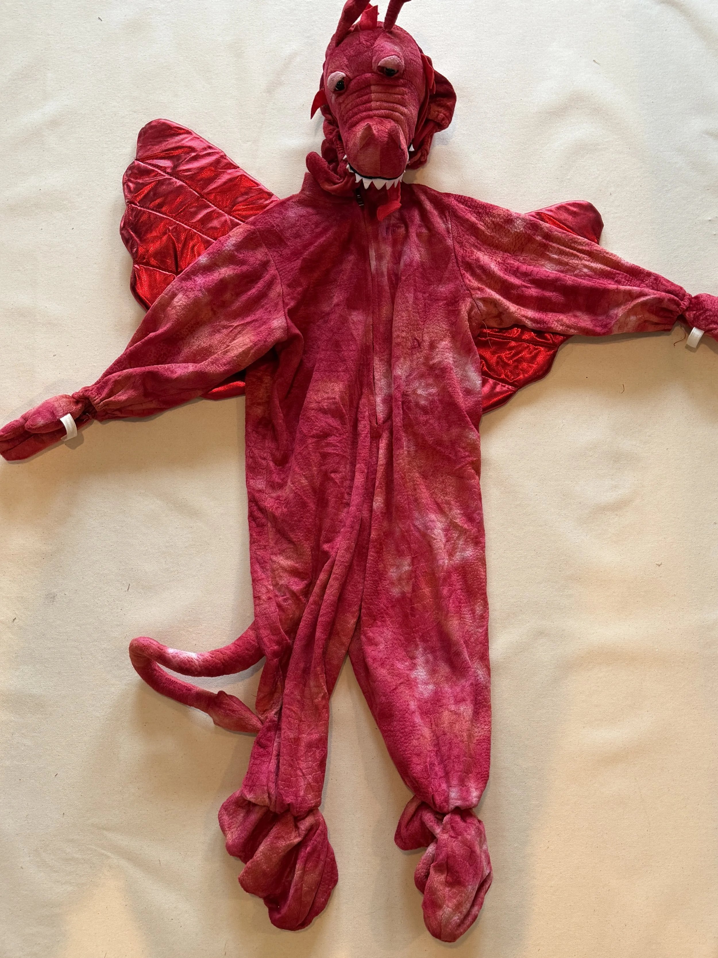 Enchanting Dragon Costume (small)