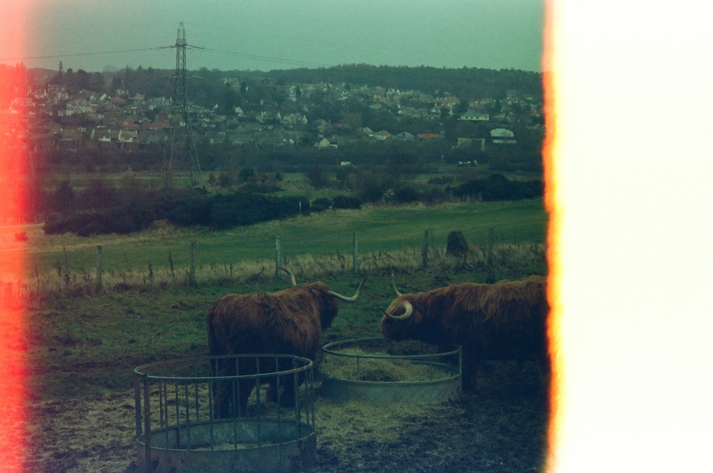 EBF44DEB-0746-4A43-BCFC-A5FF0E85F677.jpeg