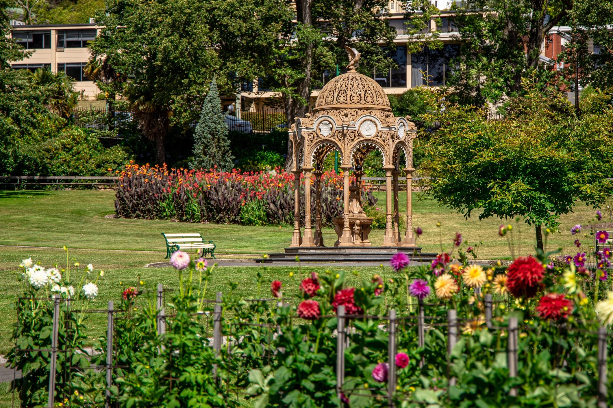 iStock-1301447818.jpg