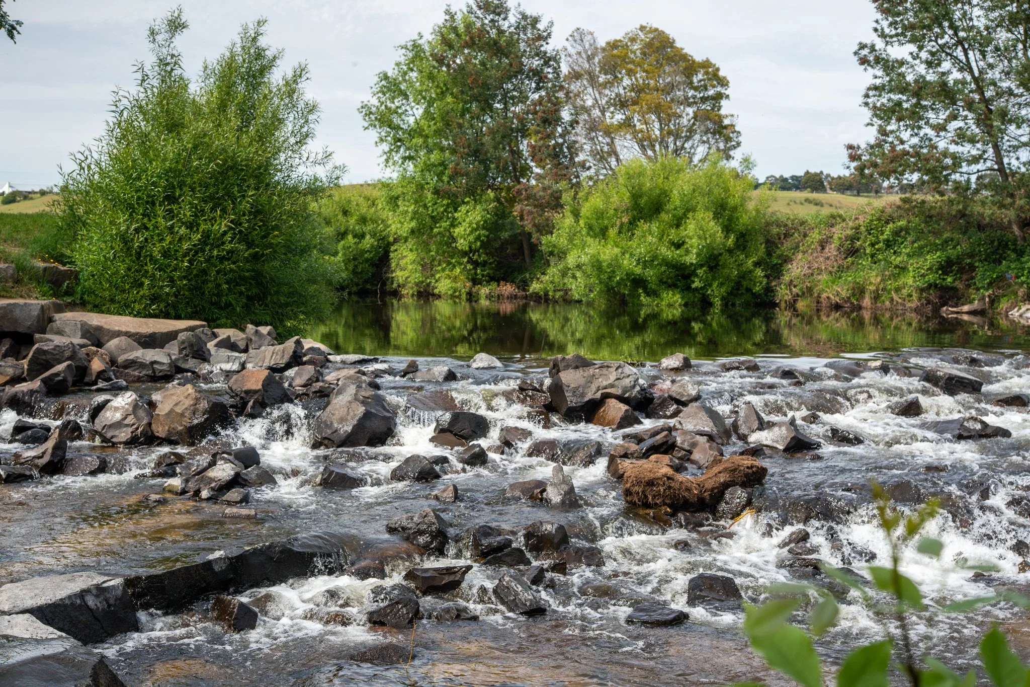 LQ_Cedar Grove Stills-40.jpg