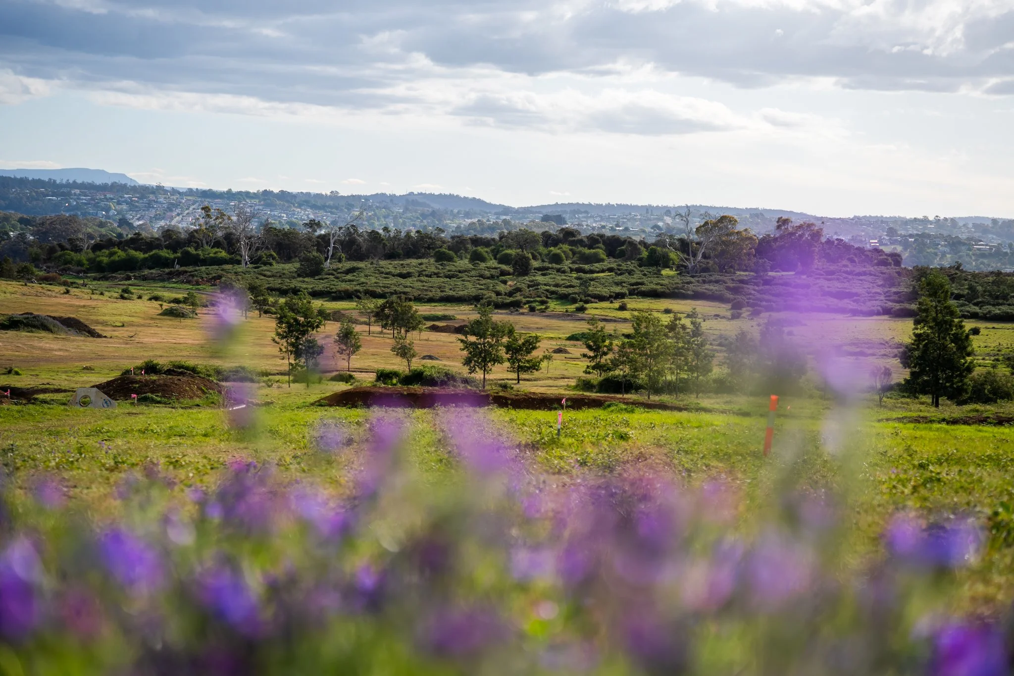 LQ-CEDAR GROVE- SITE STILLS-25.jpg