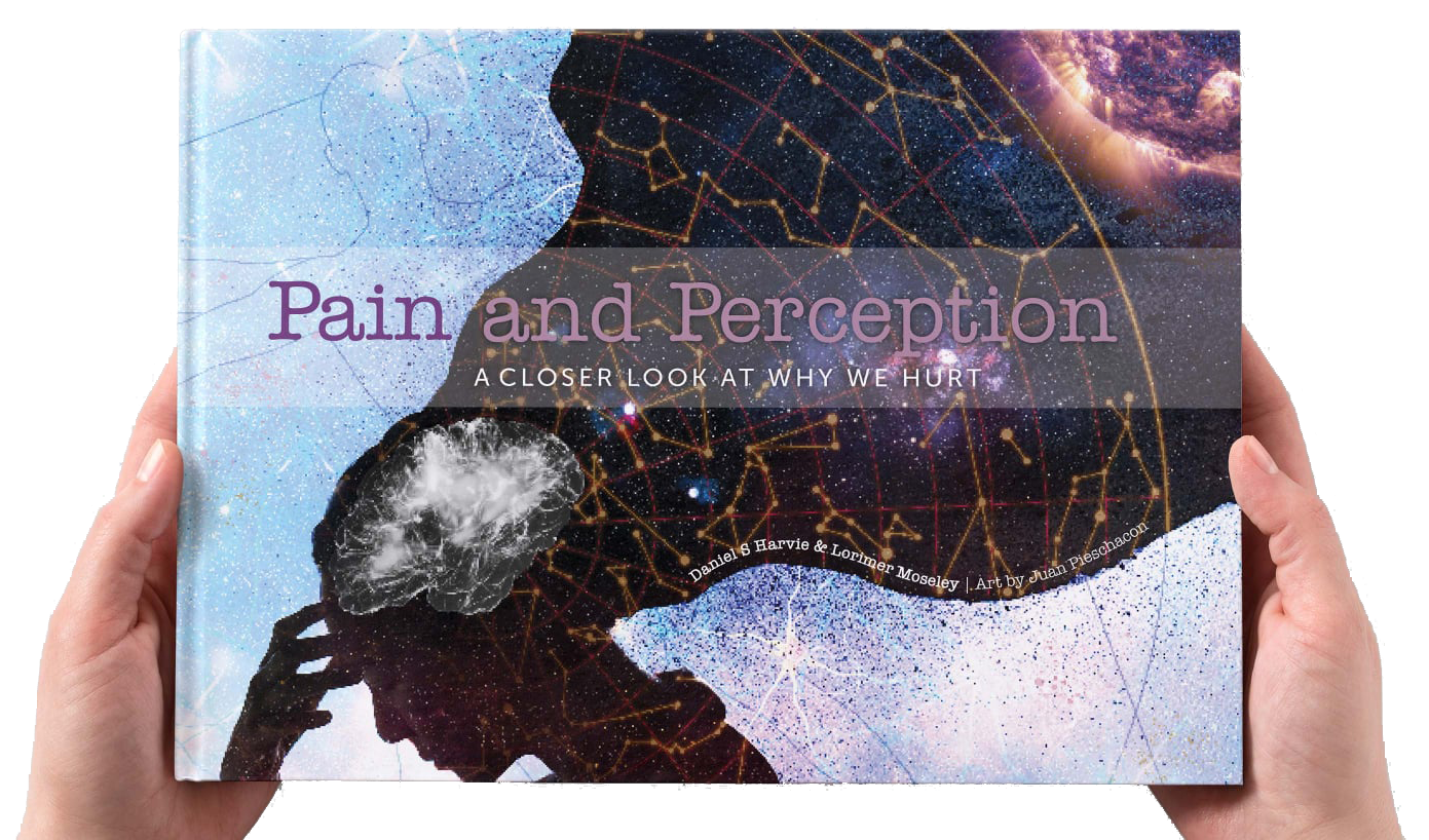 Book titled 'Pain and Perception: A Closer Look at Why We Hurt' with artwork of a person's profile, brain illustration, and cosmic background, held by two hands.