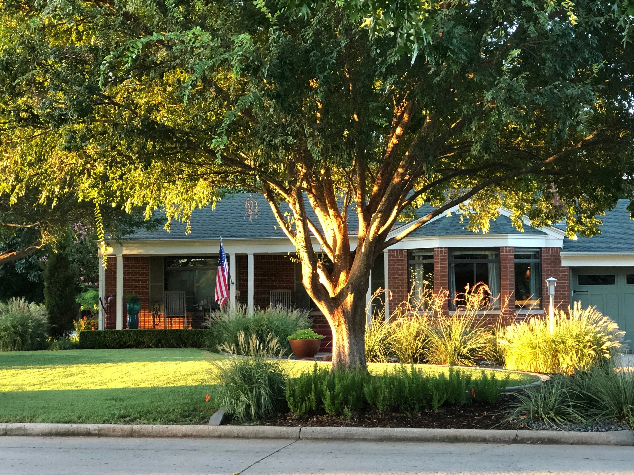 A large tree in front of a brick house with a well-manicured lawn and garden, sunlight illuminating the scene in the late afternoon.