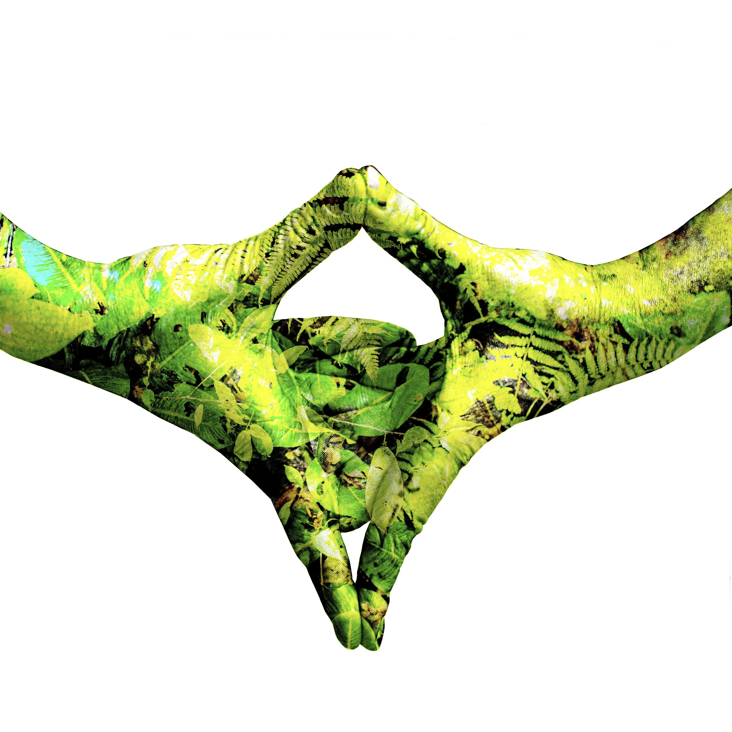 DOWNWARD UTTARABODHI MUDRA.jpg