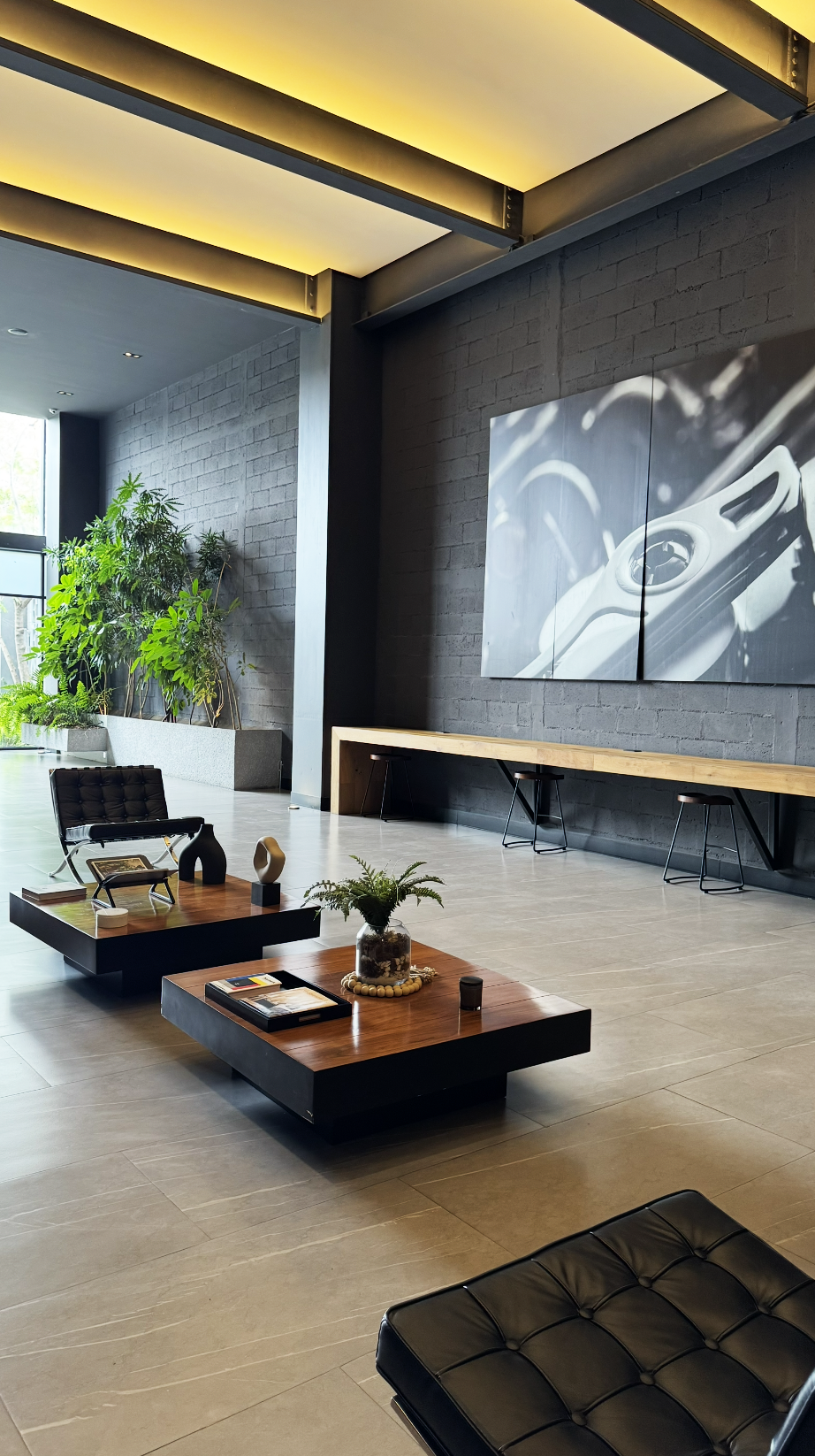 Terramount Departamento en Venta Insurgentes Sur CDMX 32.png