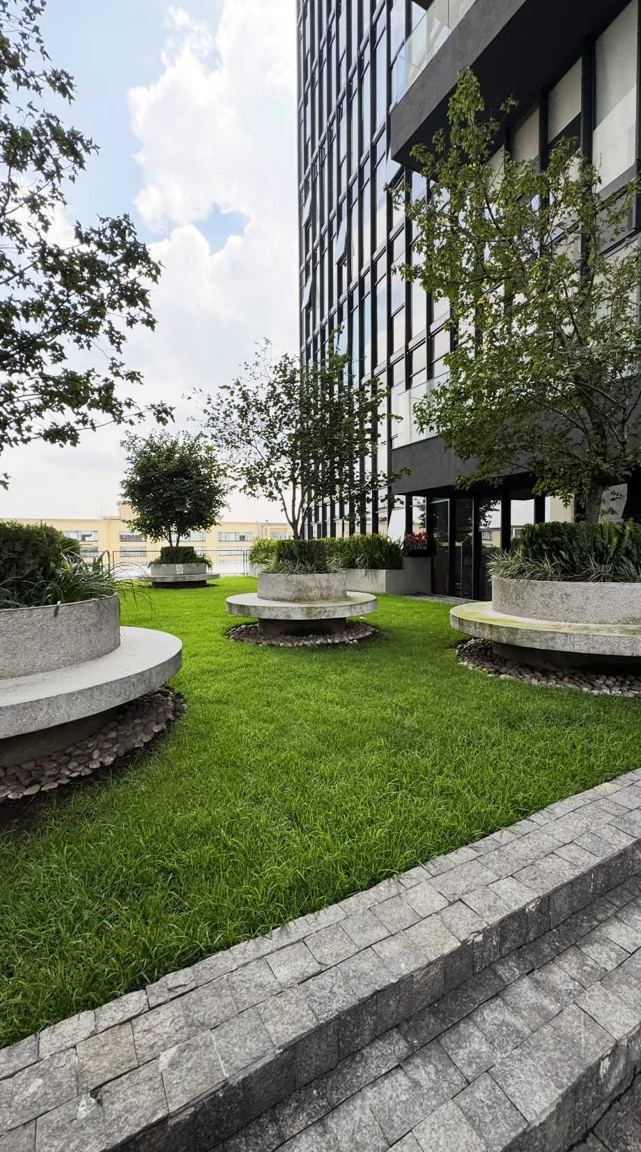 Terramount Departamento en Venta Insurgentes Sur CDMX 36.png