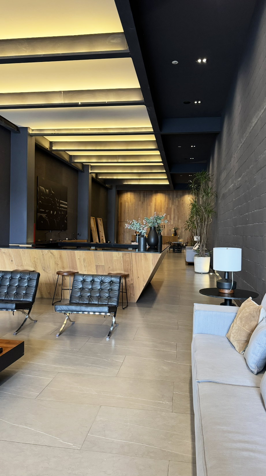 Terramount Departamento en Venta Insurgentes Sur CDMX 31.png