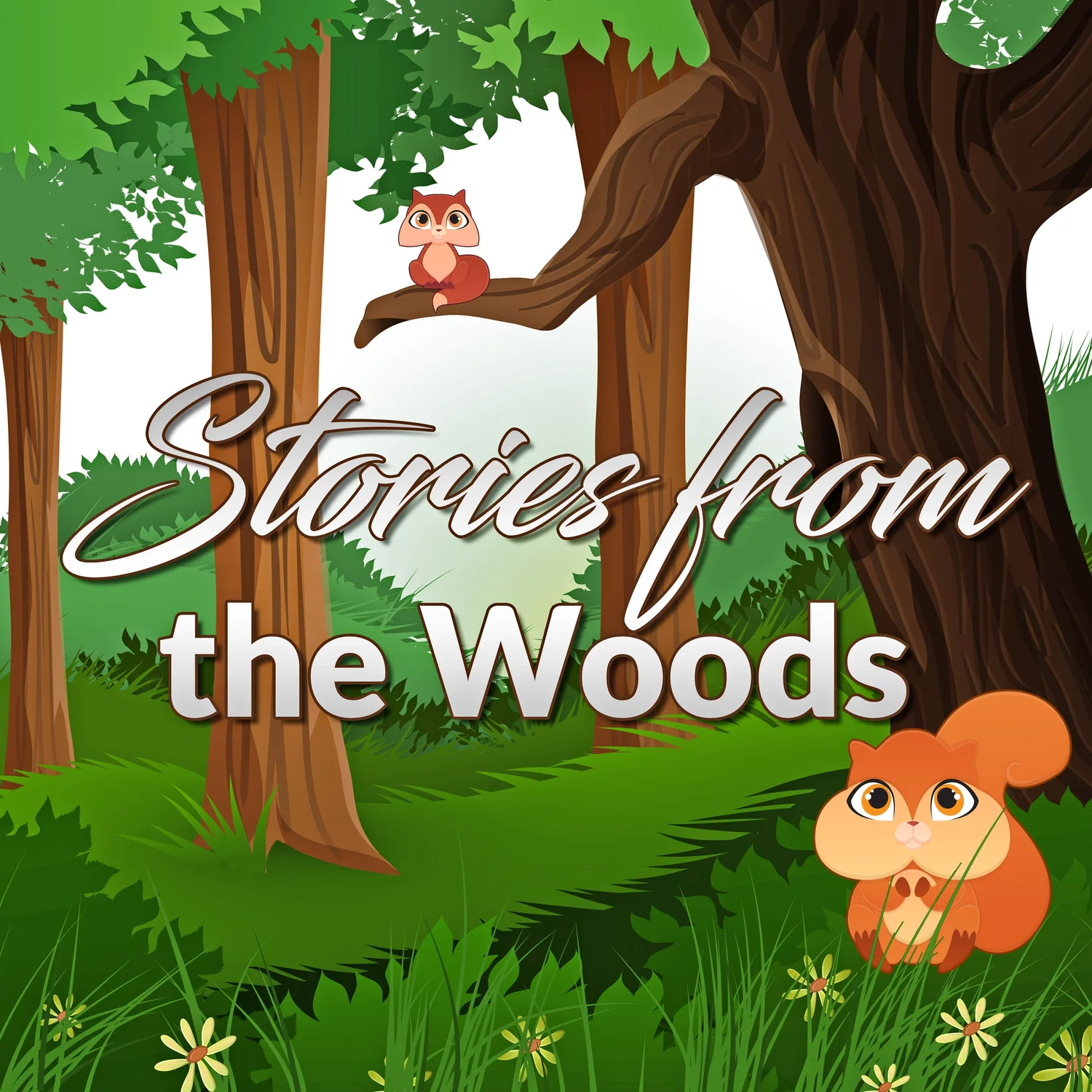 Stories from the Woods