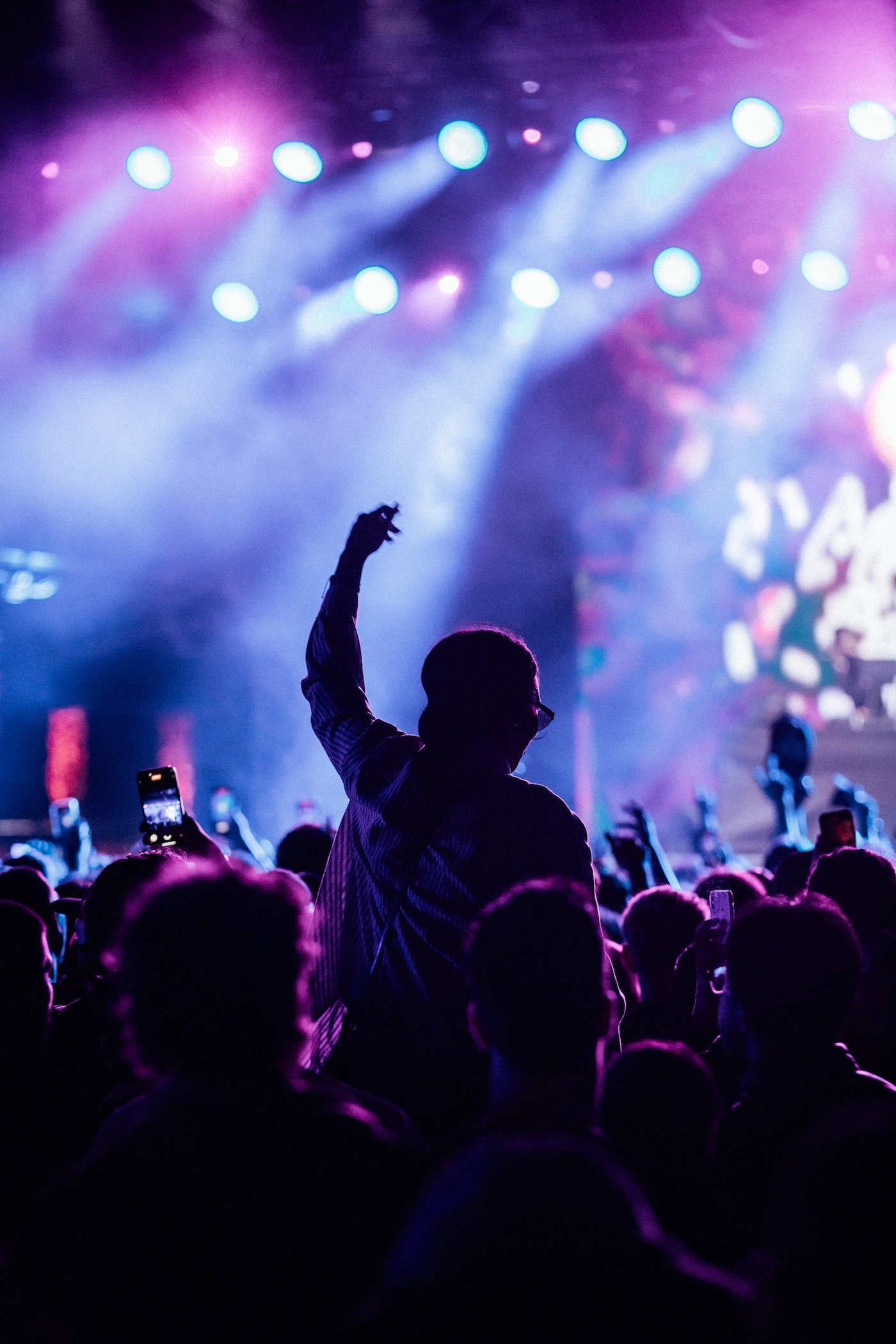 A silhouette of person at Palace Foreshore raising their hand in a dark concert or event setting with colorful purple and blue lighting.