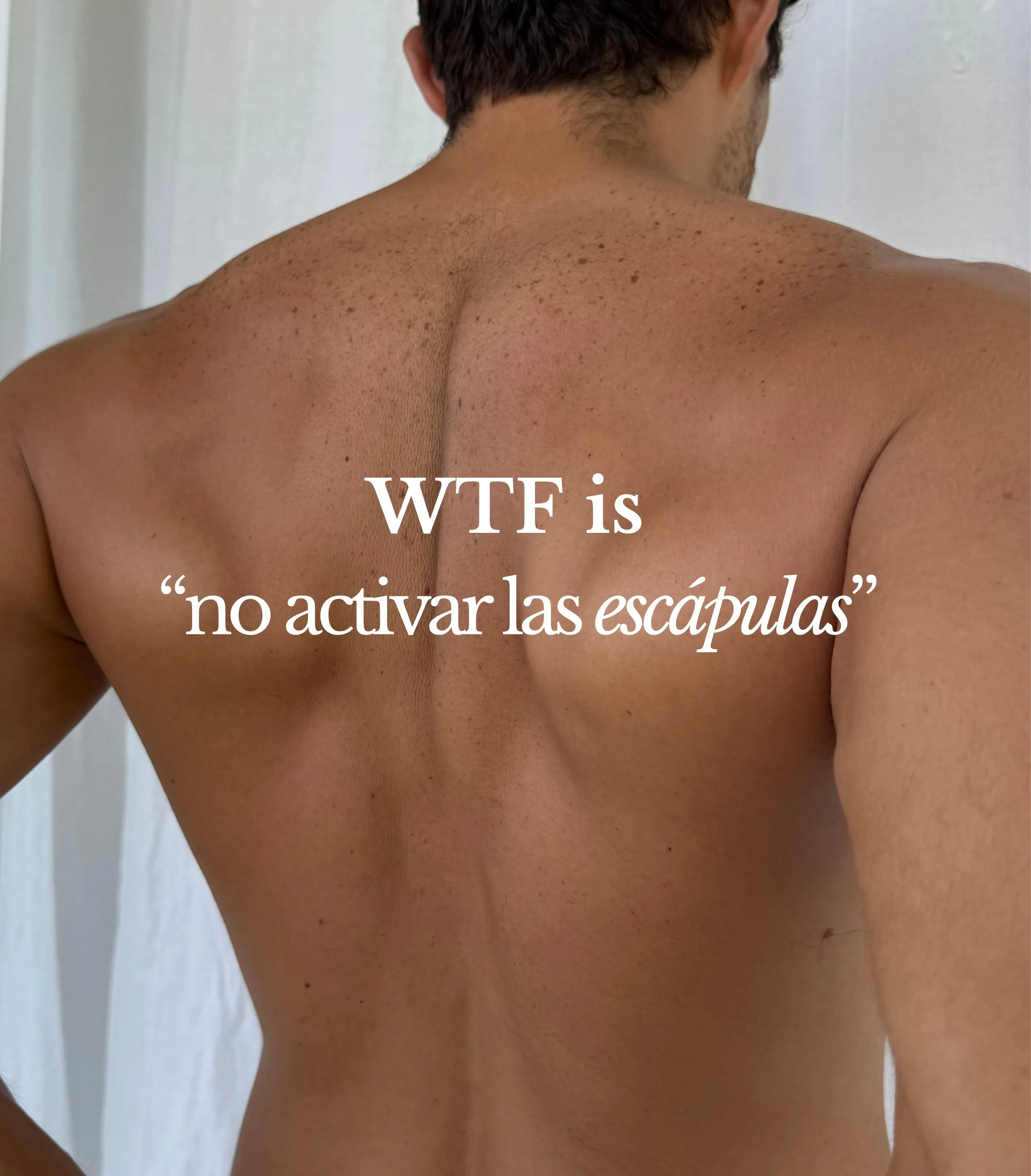 En Aares, nadie trabaja hombros sin activar correctamente las esc&aacute;pulas.

Primero control. Despu&eacute;s, fuerza.💪🏼

En Aares, nuestras clases de Reformer son semi-privadas, con un m&aacute;ximo de 3 personas por sesi&oacute;n.

Aares es pa