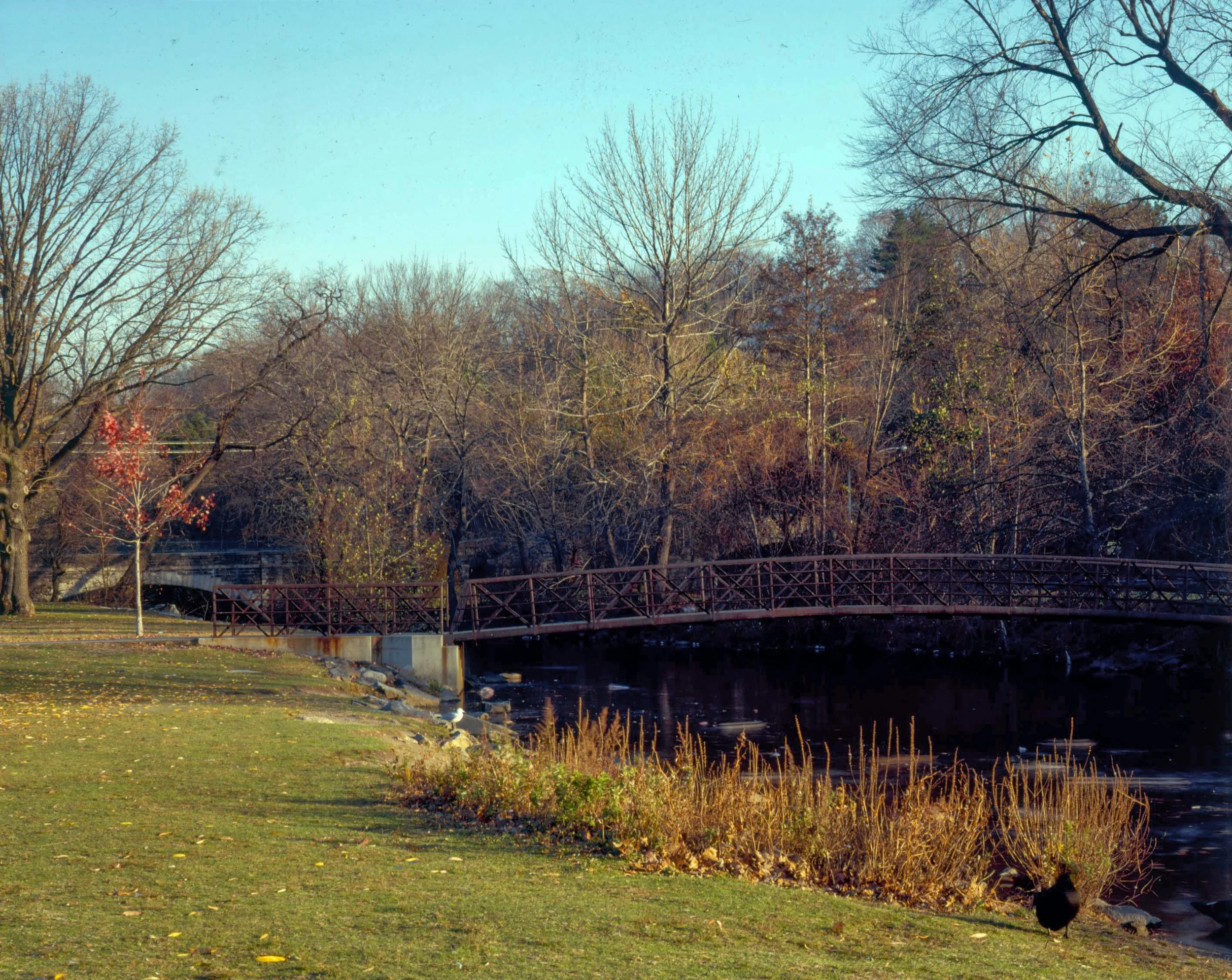 bronx river parkway