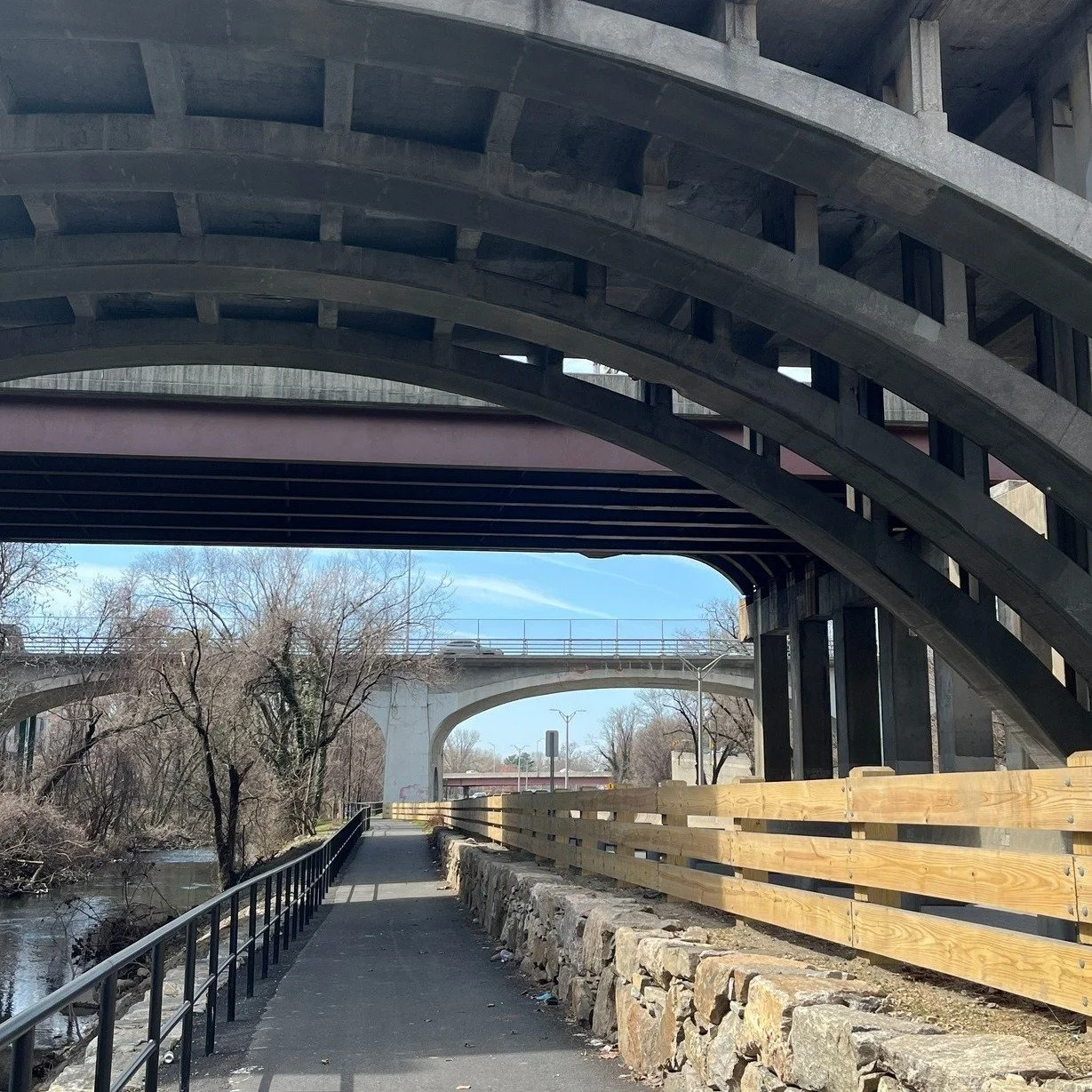 bronx river pathway bridge under.jpg