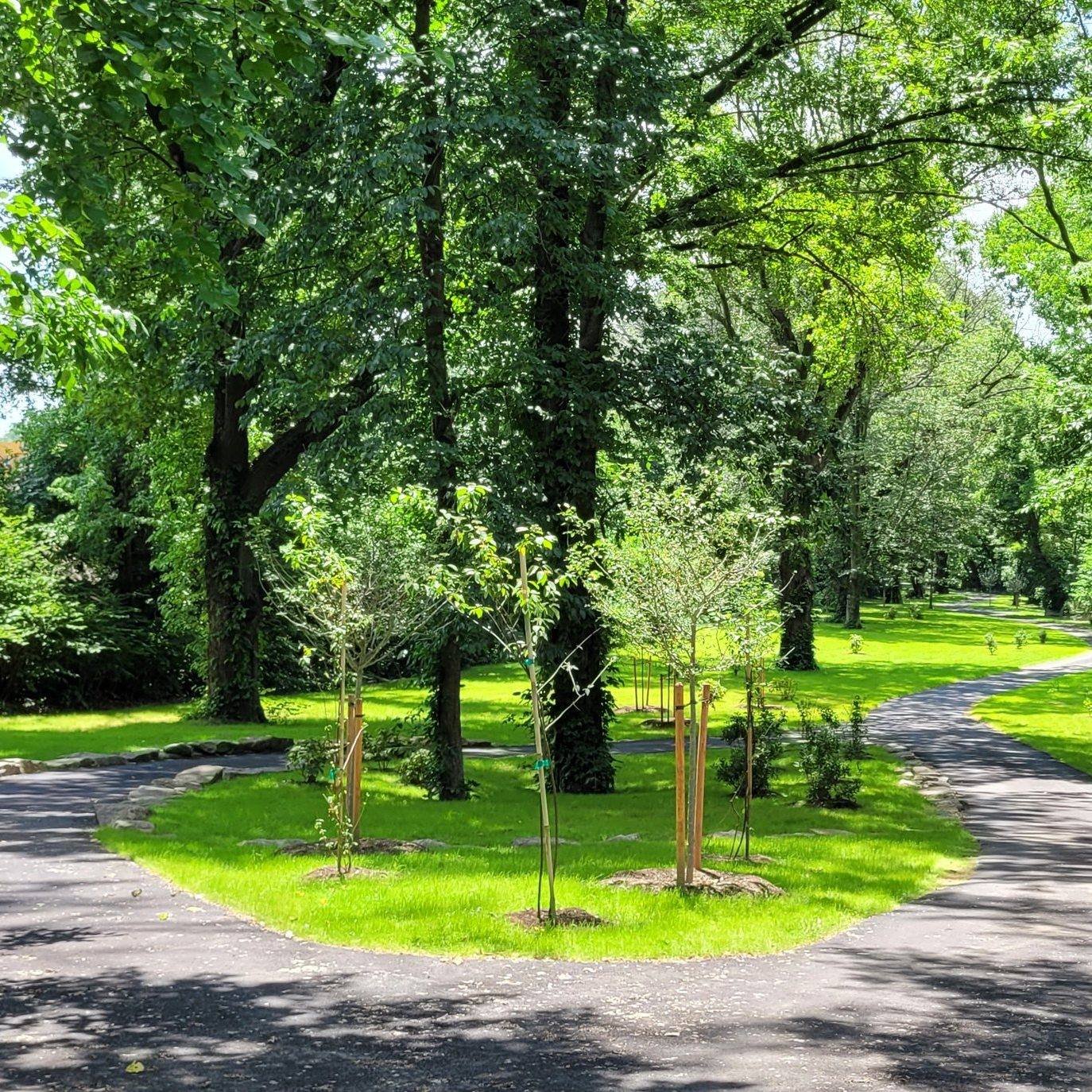 bronx river pathway