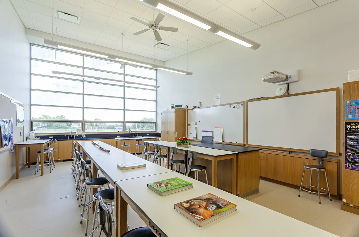 rye country day school