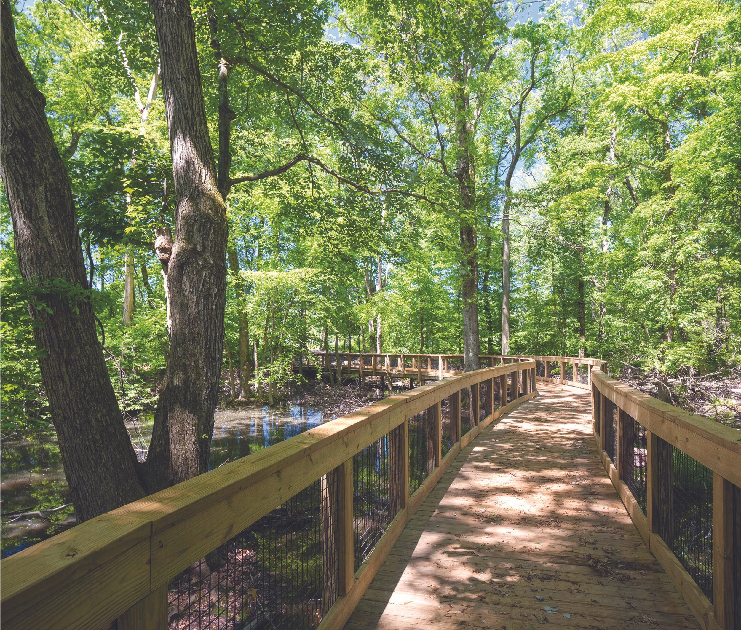 athletic fields and trails hackley school