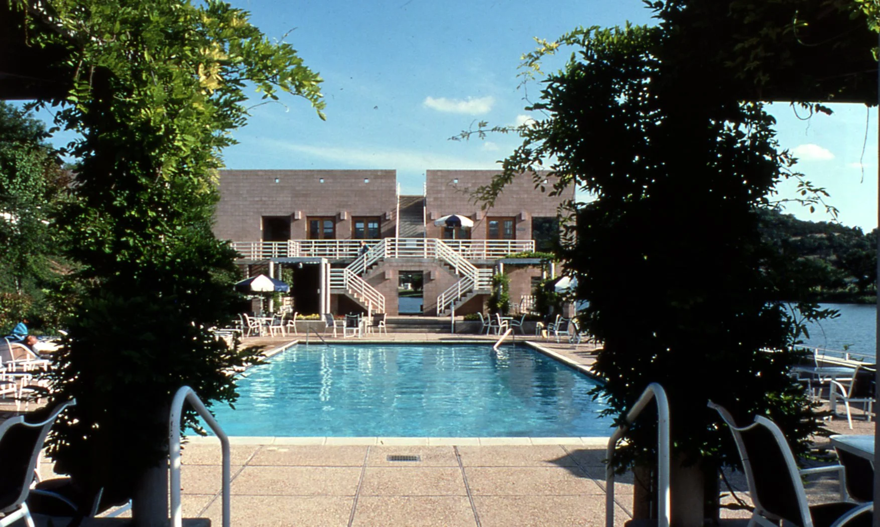 Pool steps with grown wisteria.jpg