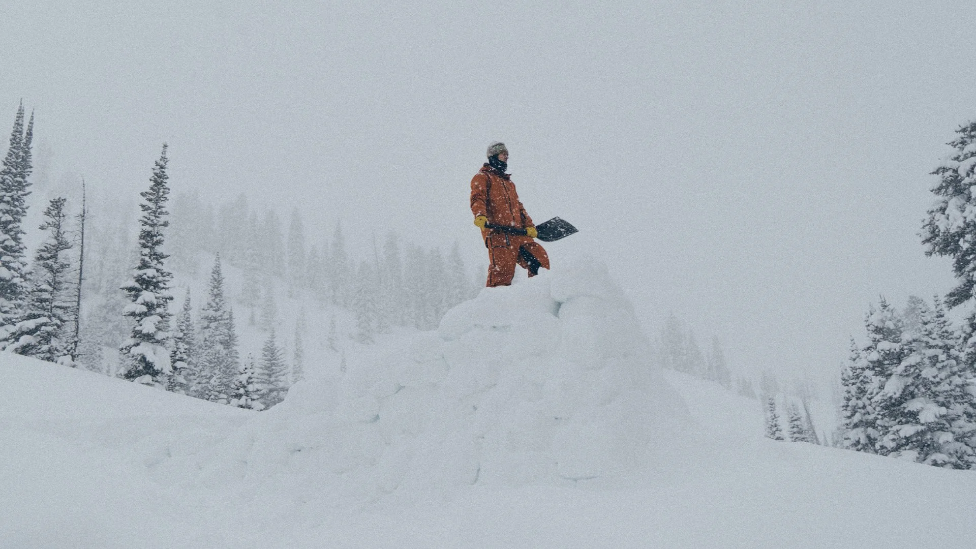 PROOF - DIRECTORS CUT