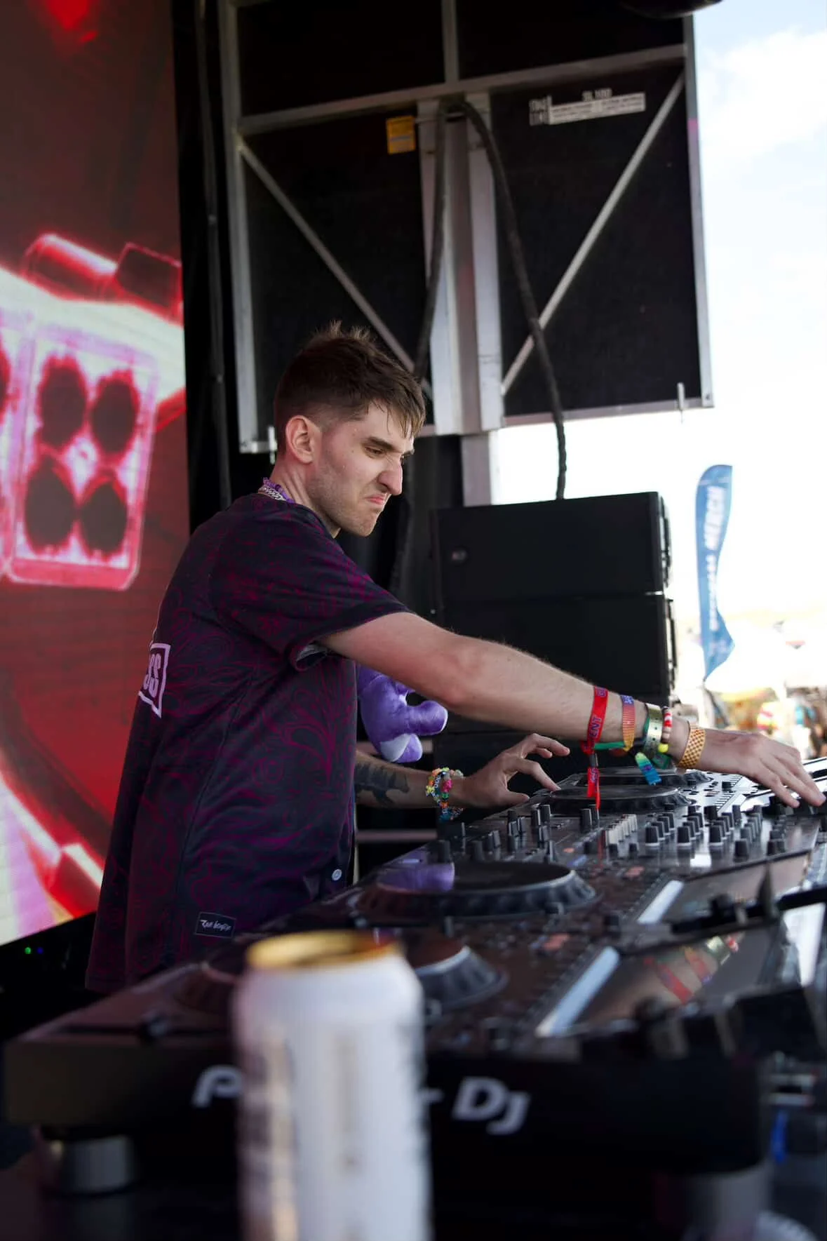 Bear Bass Stageshot 3.JPG