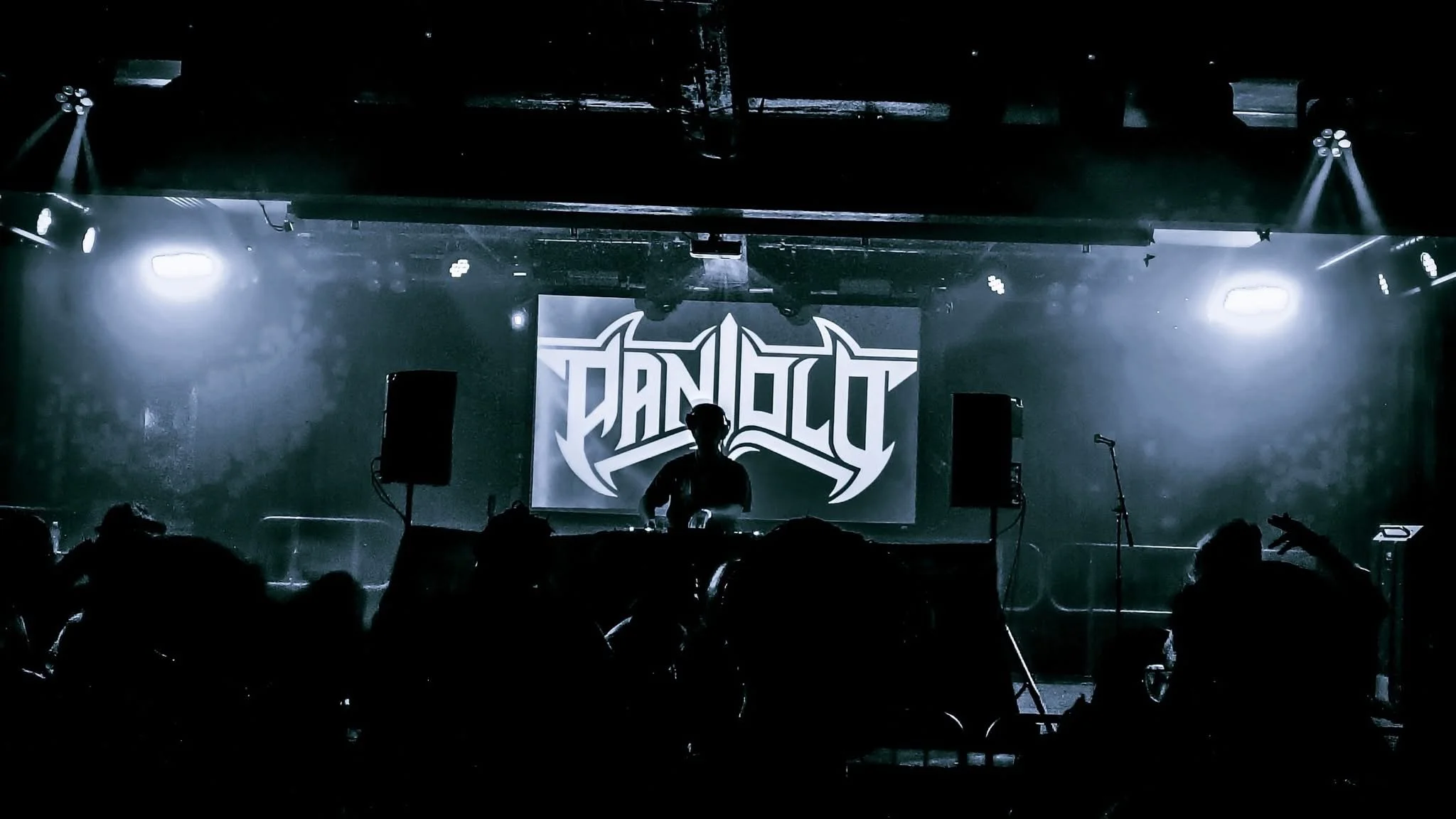 PANIOLO Crowdshot 3.JPG