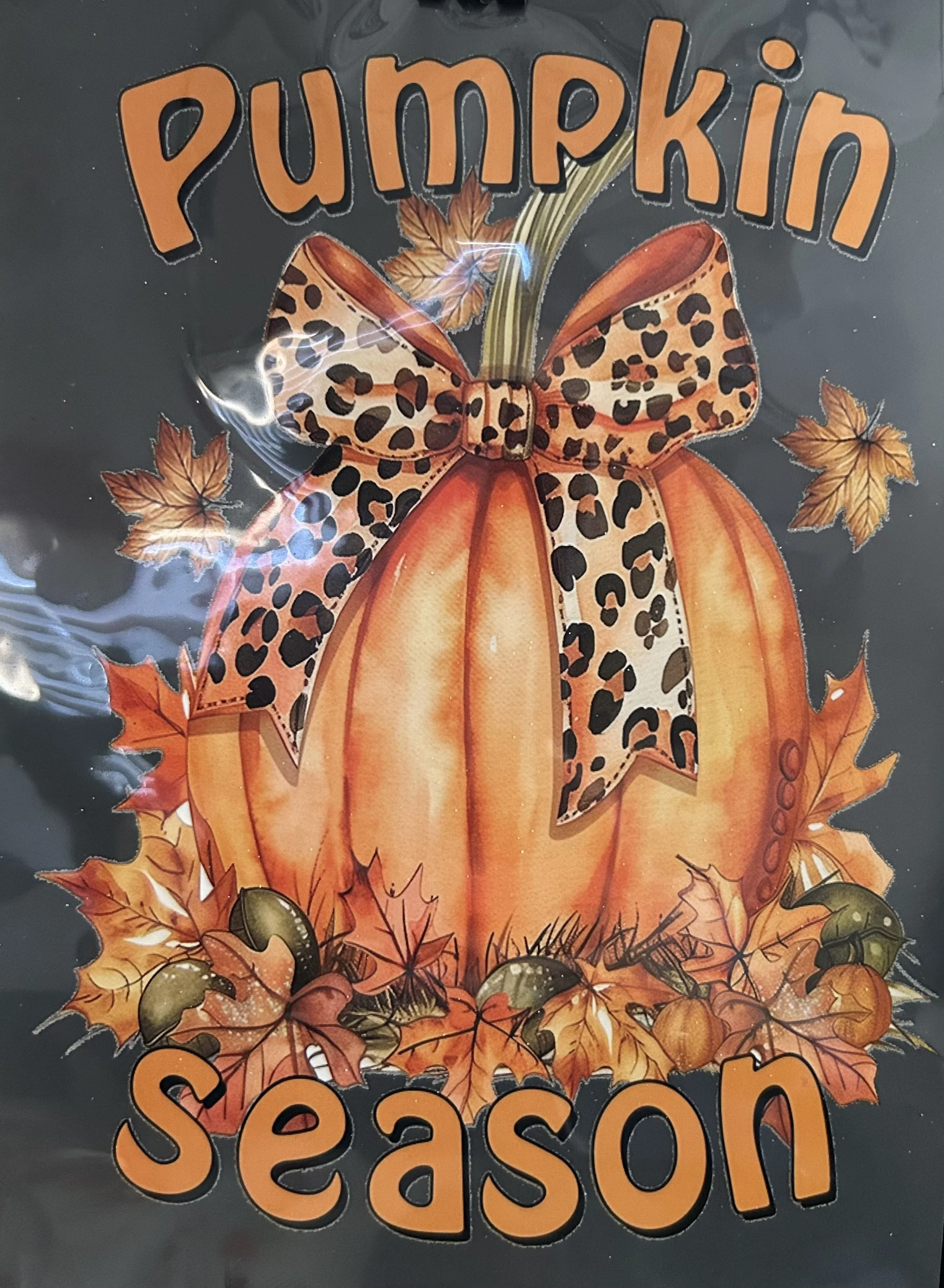 Pumpkin Season Ready-to-Press Design DTF