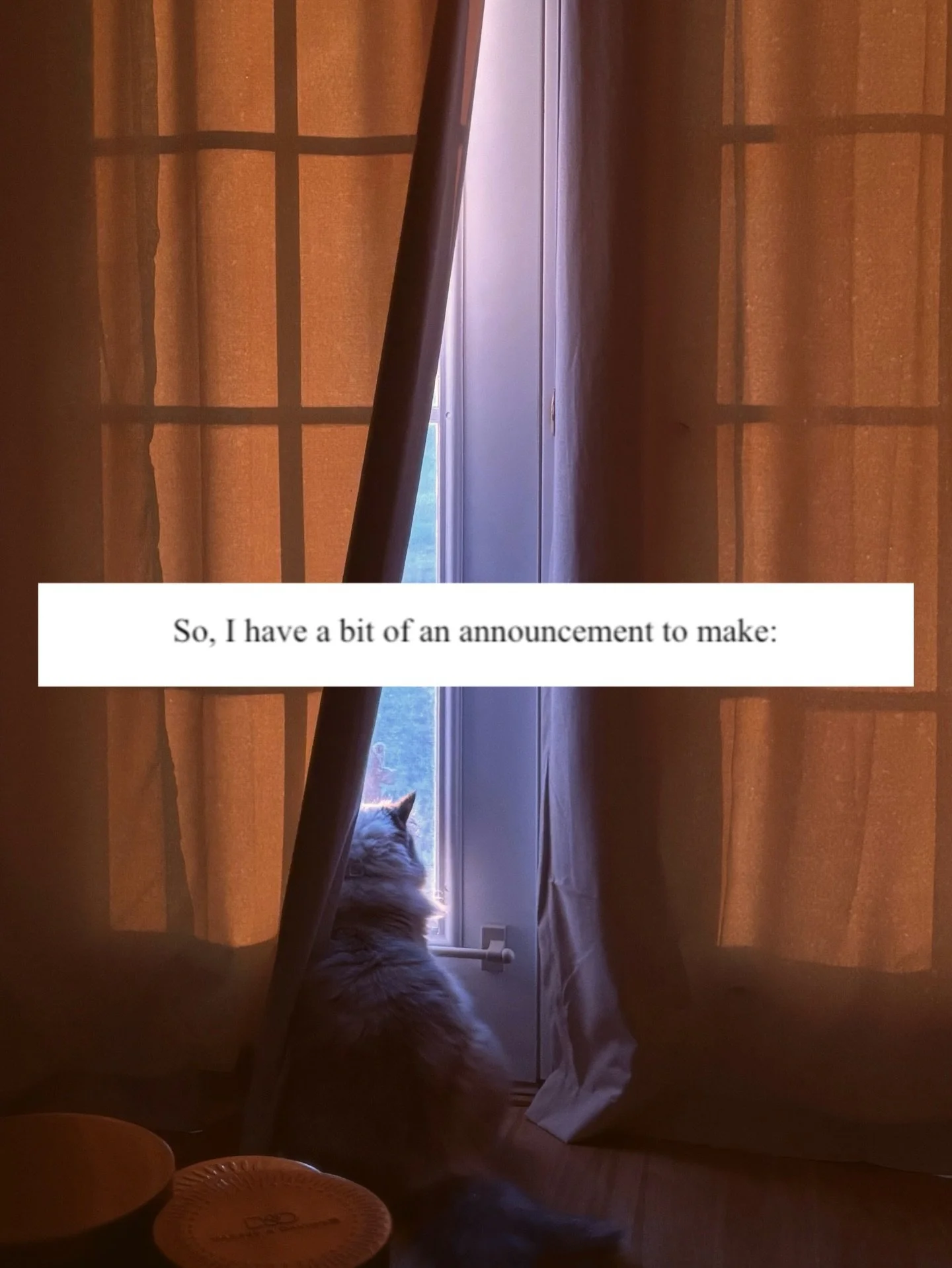 Thank you all for everything! 🫶🏻💕✨