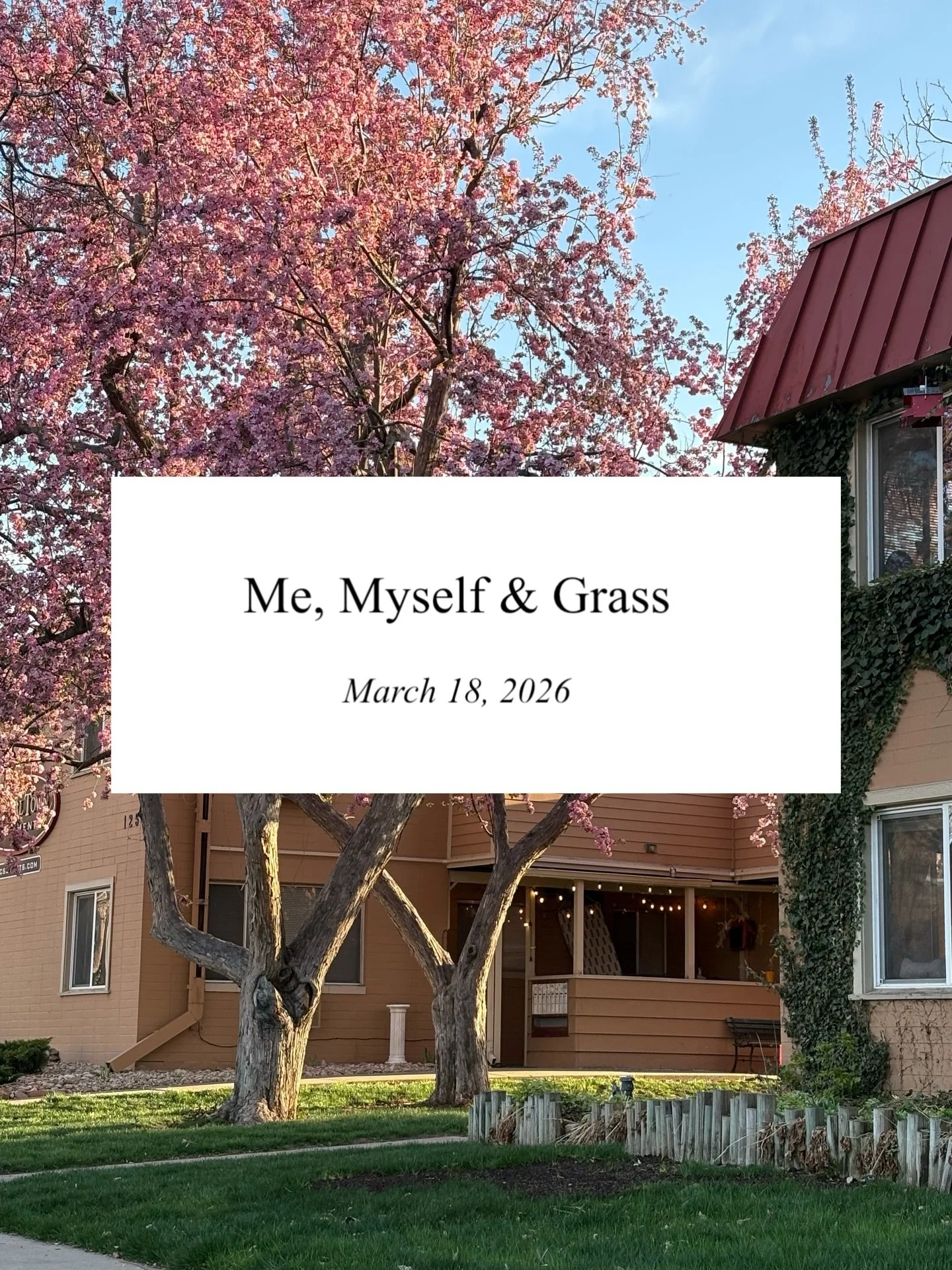 The Grass and I 🌱

#writing #poetry