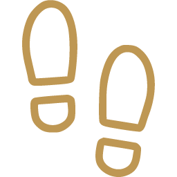 Legacy Icon