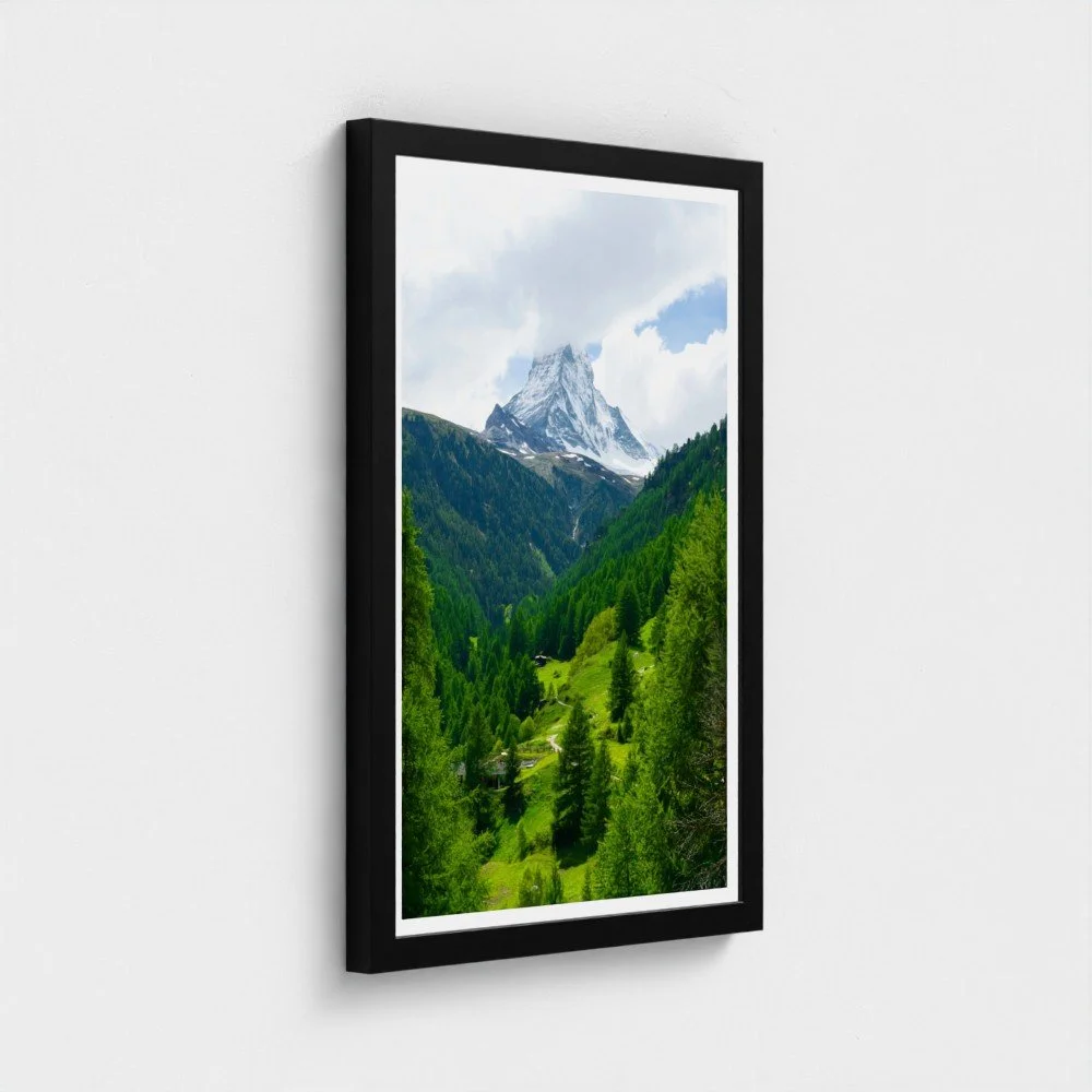 prodigi-GLOBAL-CFP-12X18-framecolour_black(8).jpg