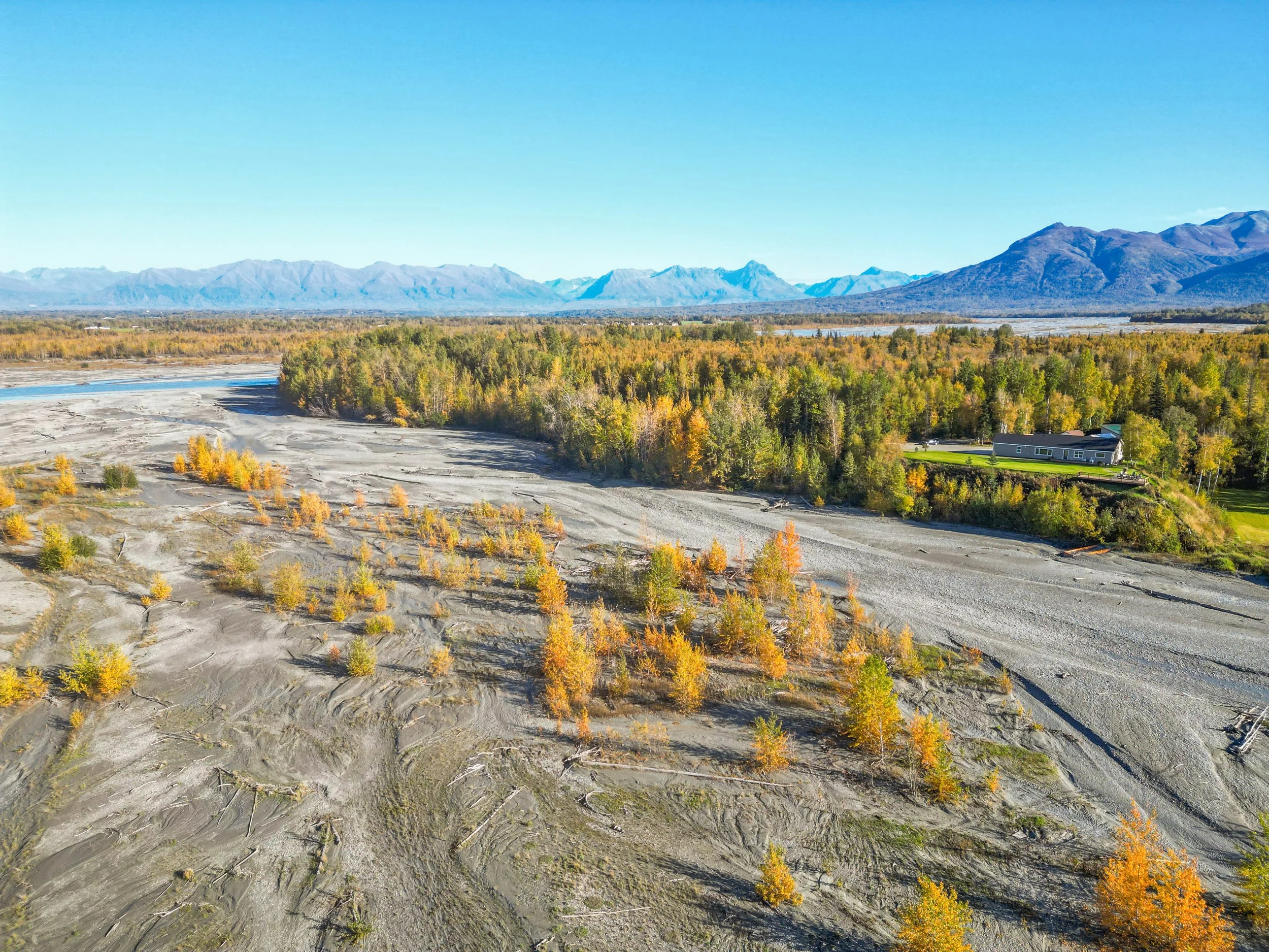 Aerial view of a dry riverbed with scattered orange and yellow trees, dense green forest on the edge, and mountain ranges under a clear blue sky.