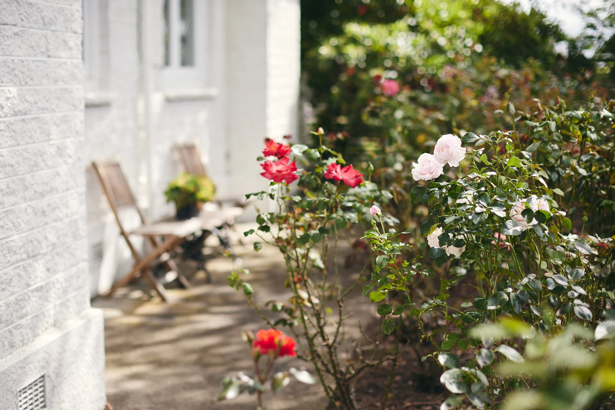 Elizas Garden Cottage6.JPG