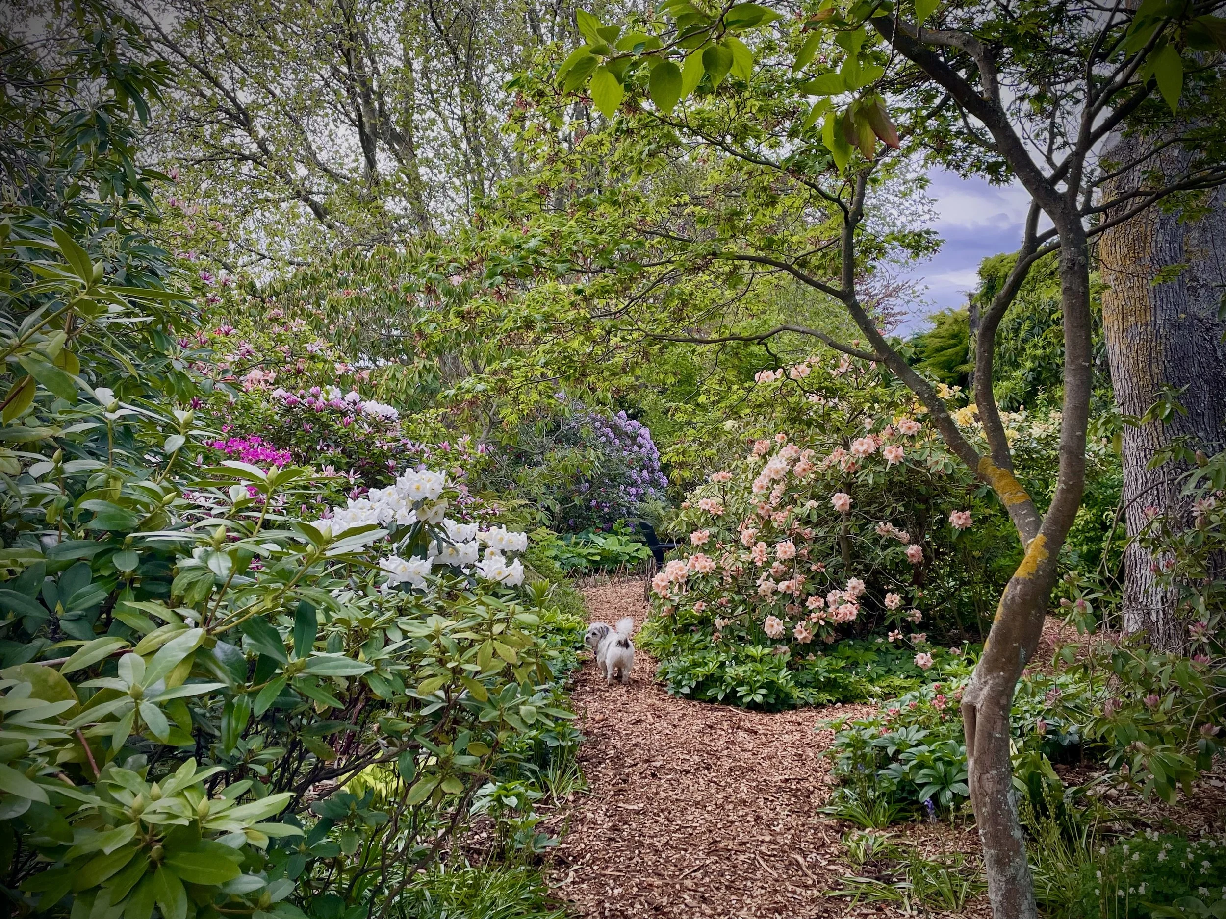 Elizas Garden Cottage164.jpg
