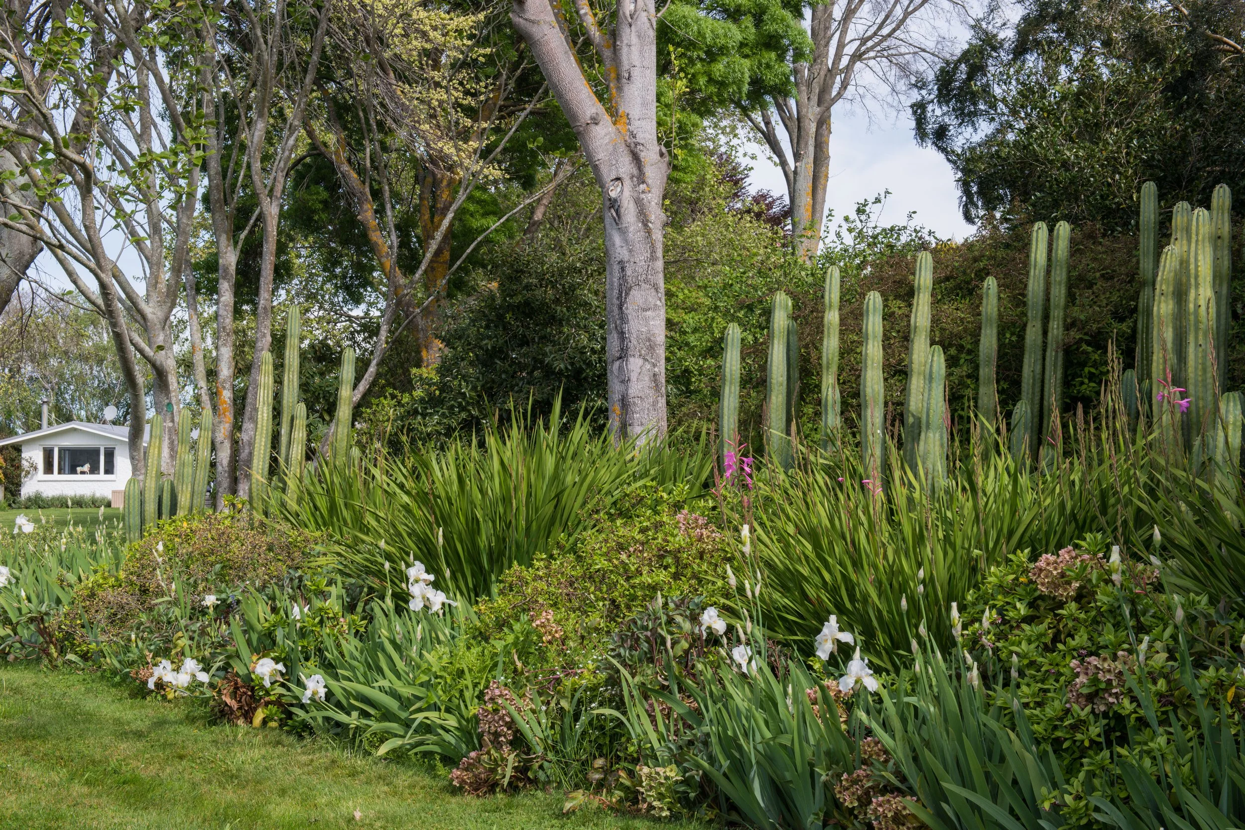 Elizas Garden Cottage185.JPG