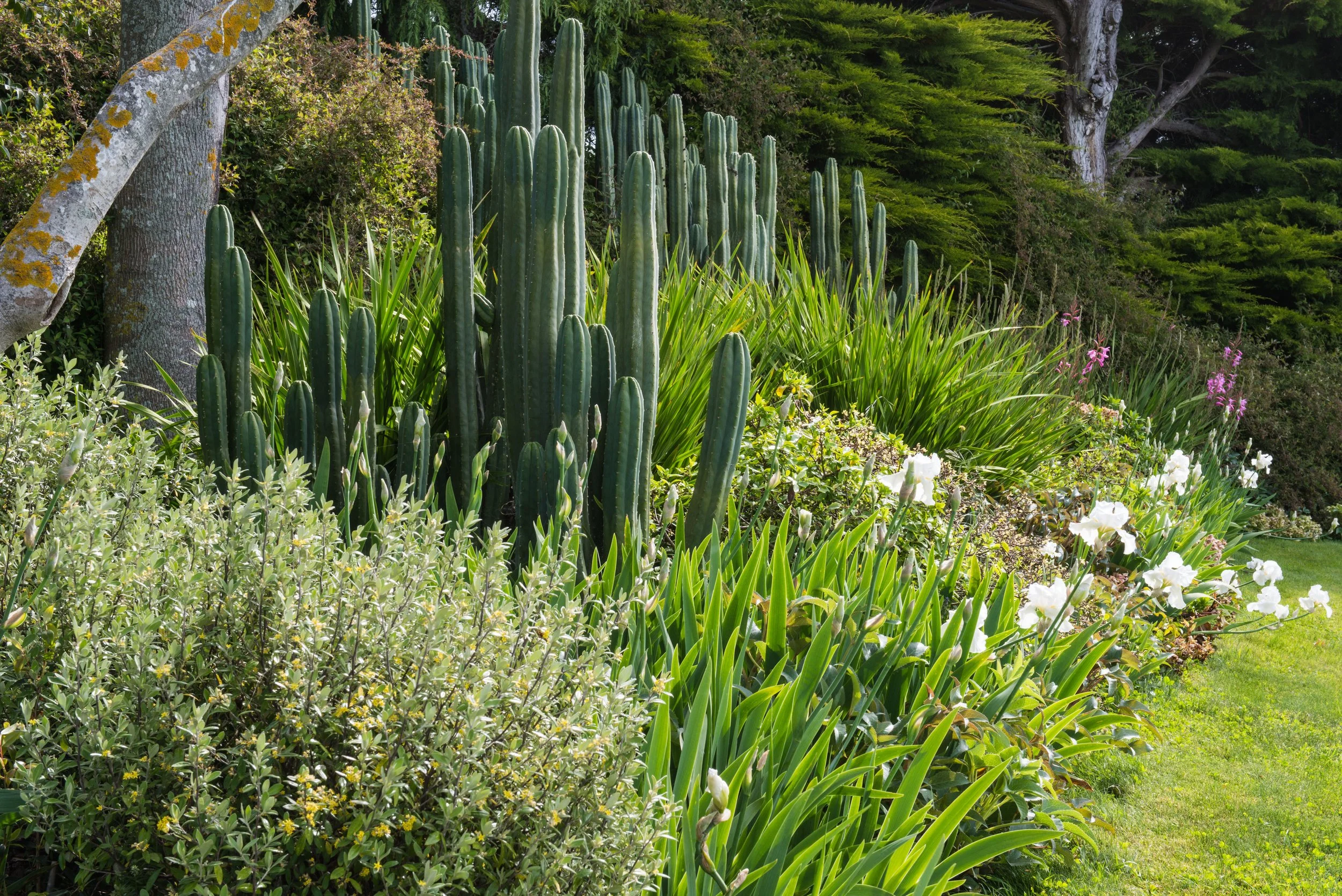 Elizas Garden Cottage184.JPG