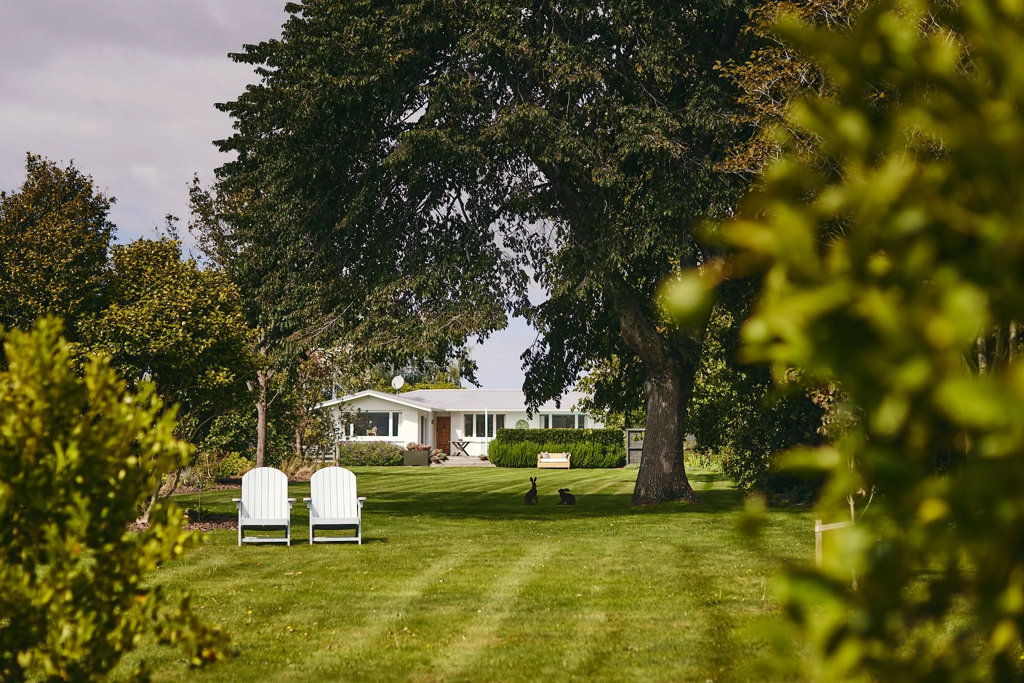 A lush green backyard with large trees, two white Adirondack chairs, two black rabbit statues, and a white house in the background.