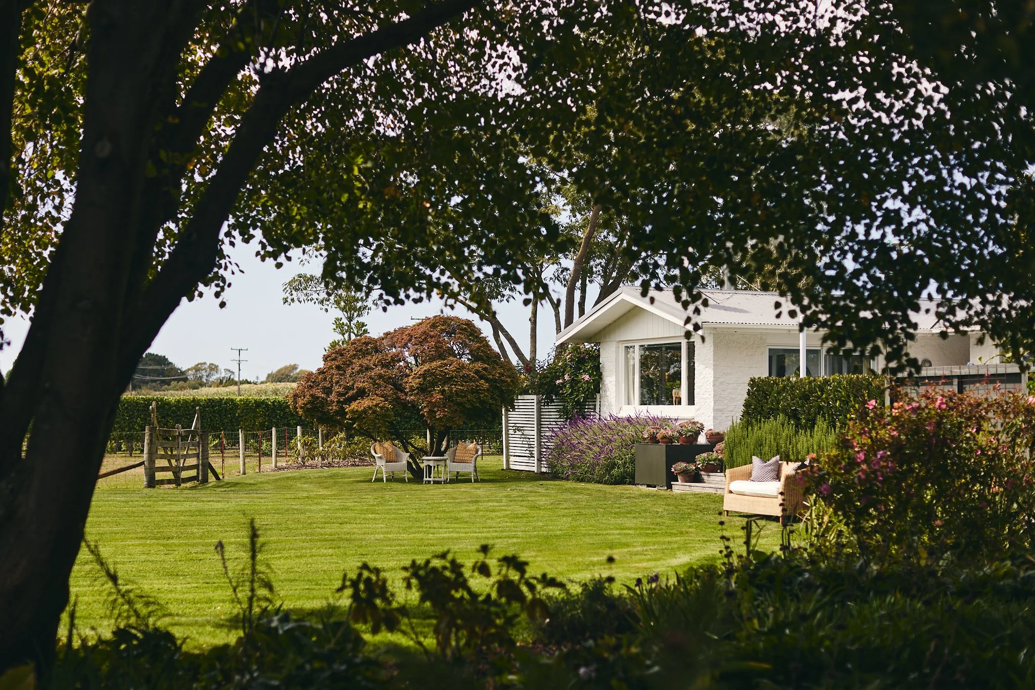 A backyard view with green grass, trees, and shrubs in front of a white house, with outdoor seating and floral plants.