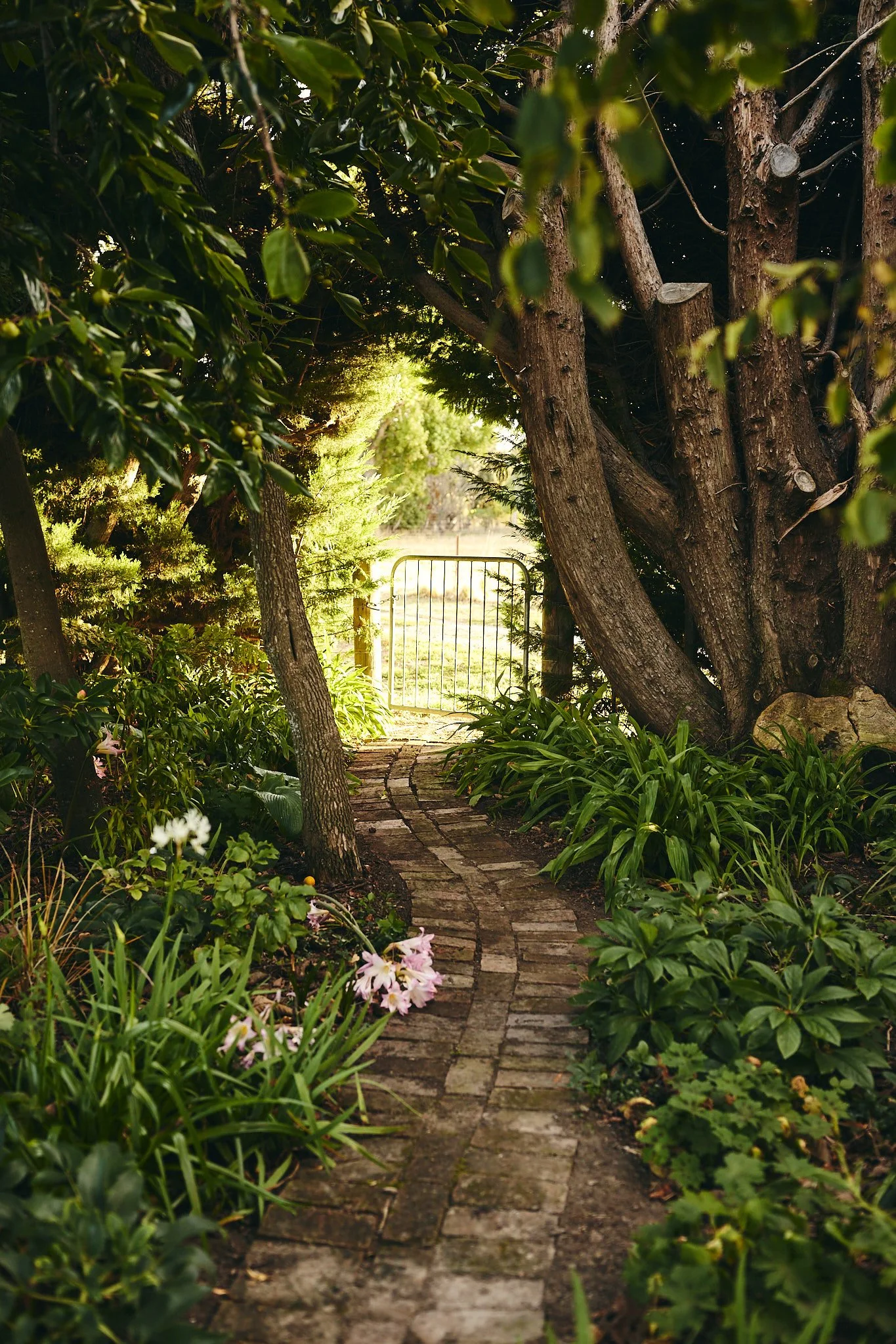 A winding brick pathway through lush, green garden plants and trees leading to a metal gate in the distance.