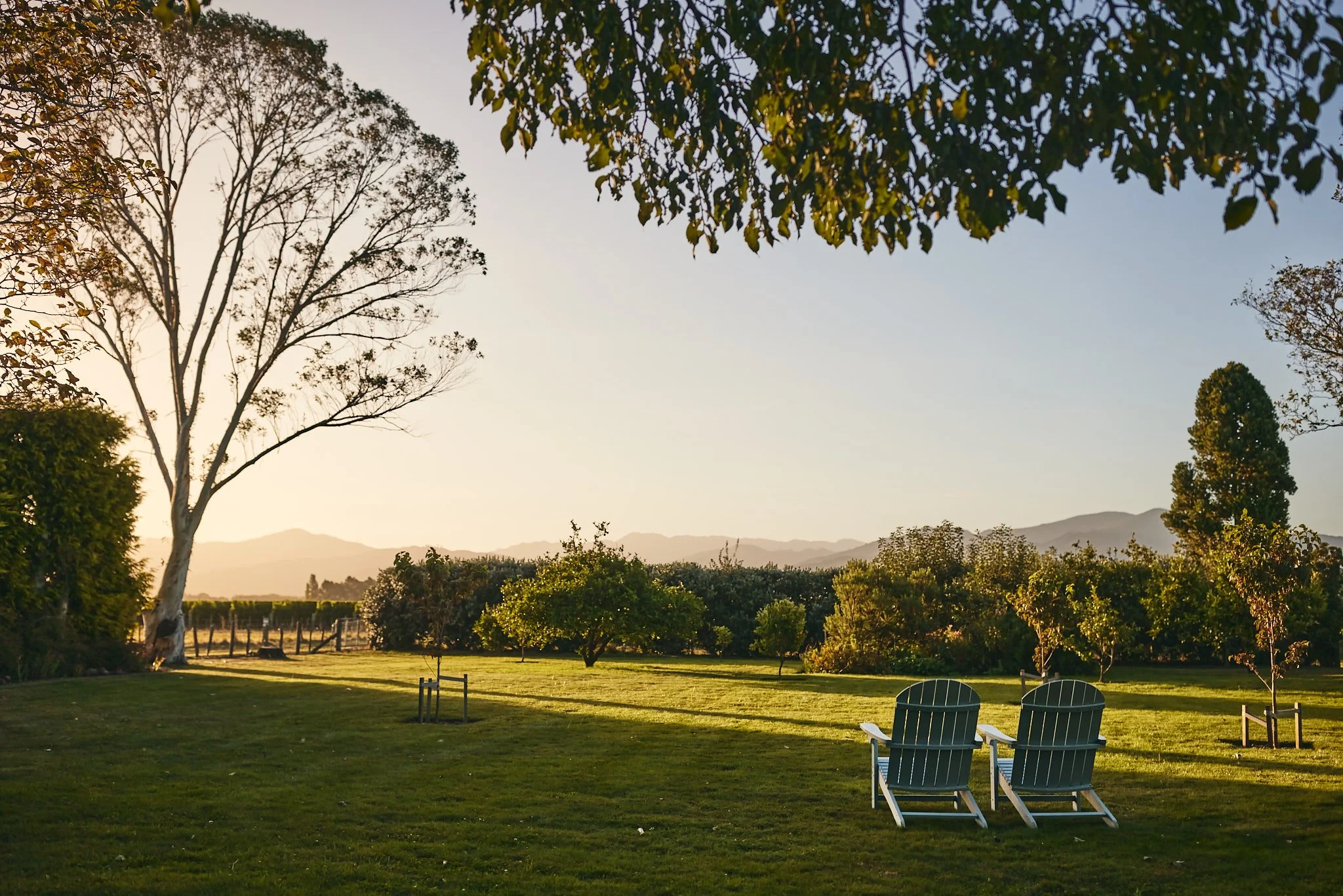 Two green Adirondack chairs on a well-maintained lawn facing a scenic view of trees and mountains in the distance at sunset.