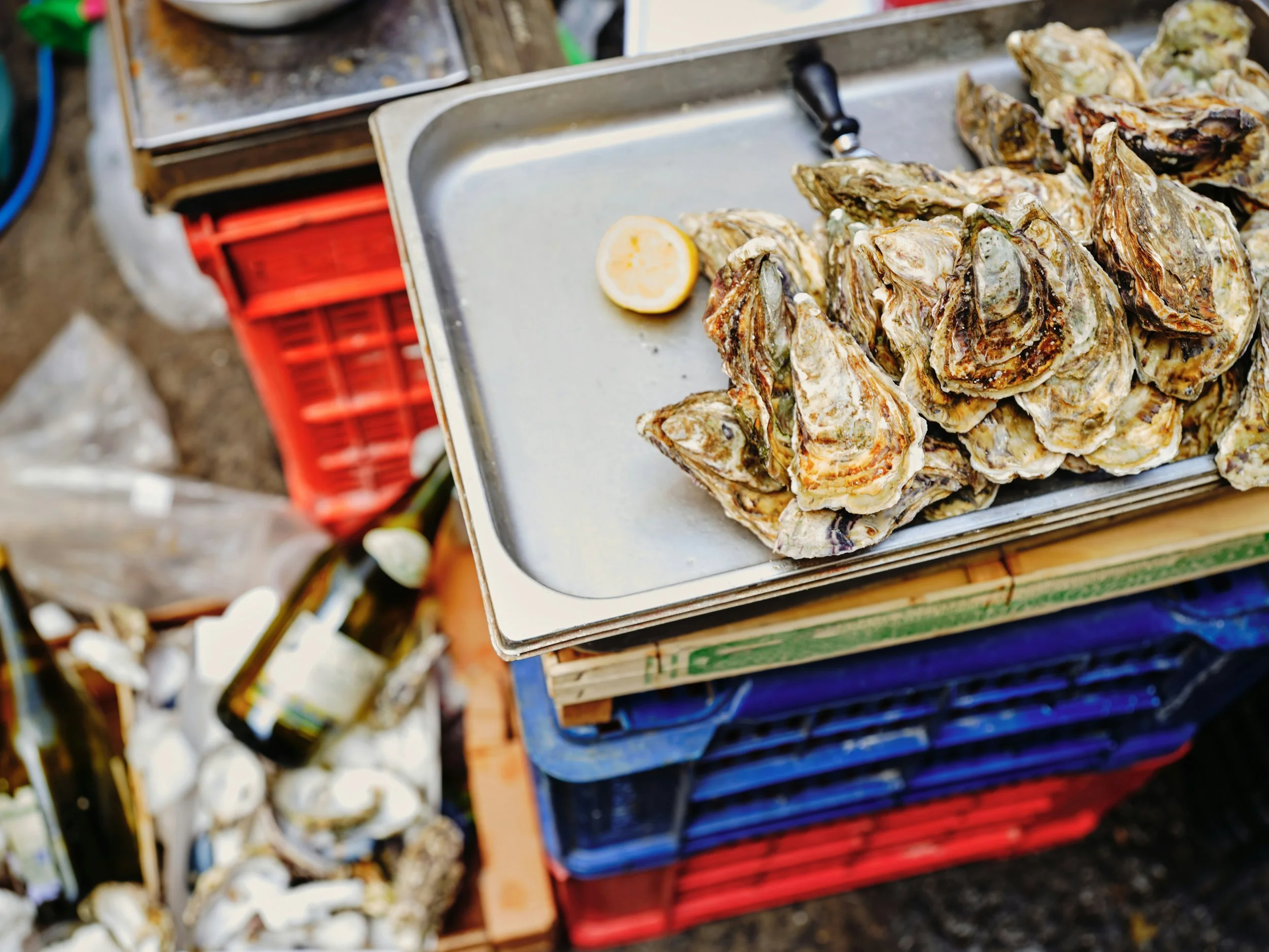 Fresh oysters on a tray with lemon at an outdoor market.