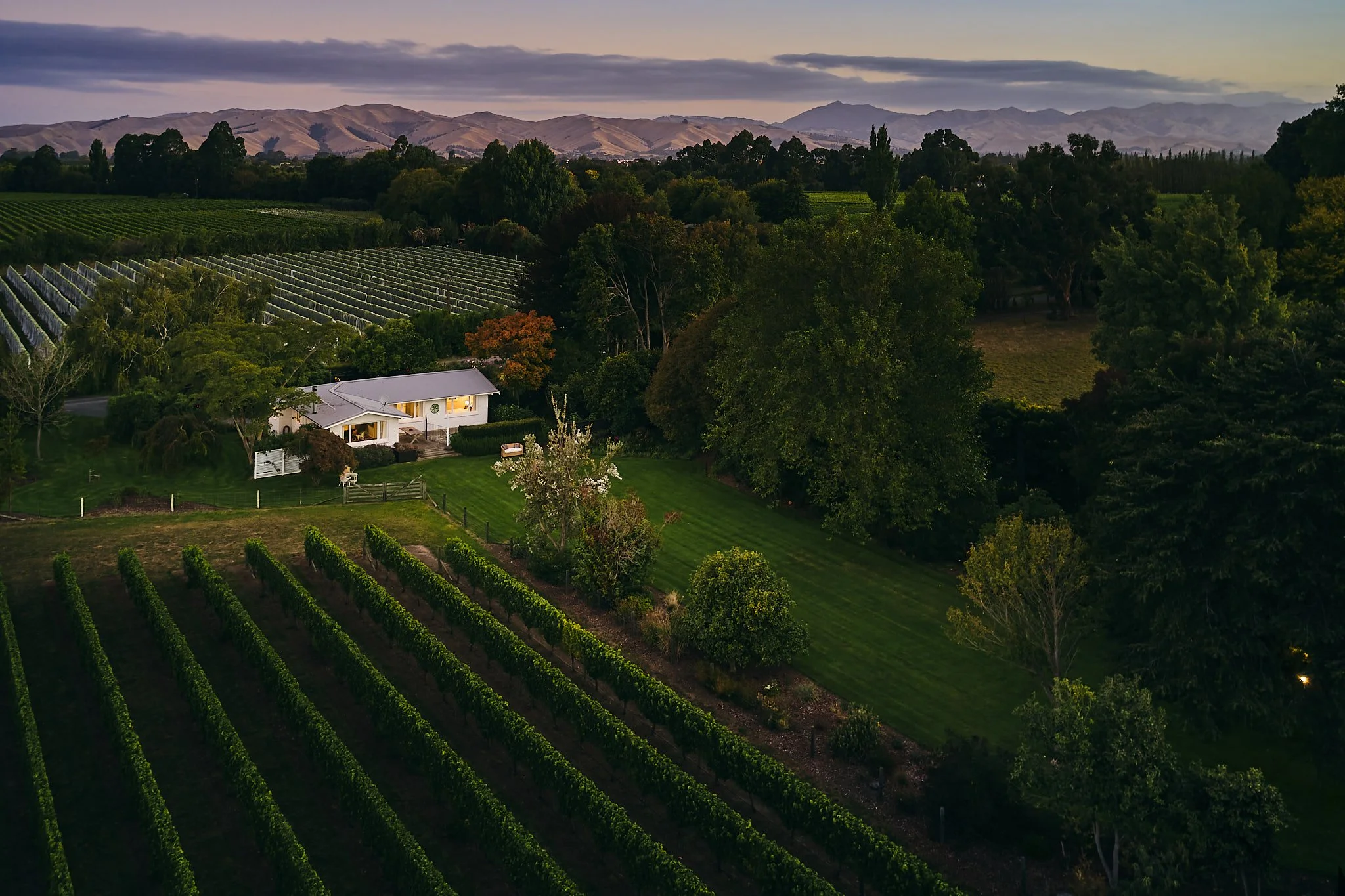 A scenic view of a vineyard with rows of grapevines, a white house surrounded by lush trees, and distant mountains under a cloudy sky in the evening.