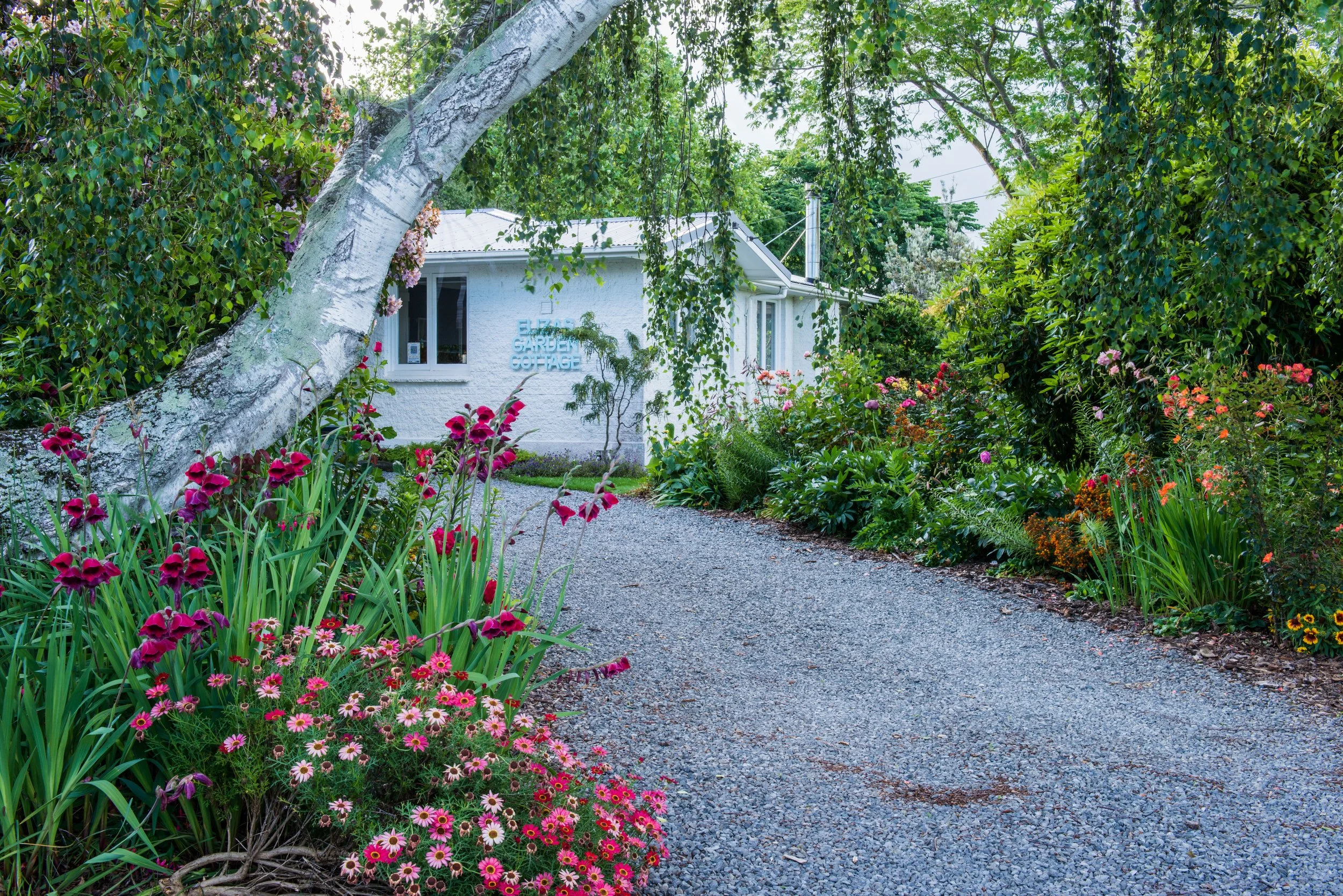 A gravel pathway leading to a white cottage surrounded by lush green trees and colorful flowers, with a sign that reads 'Elephant Garden Cottage' on the house wall.