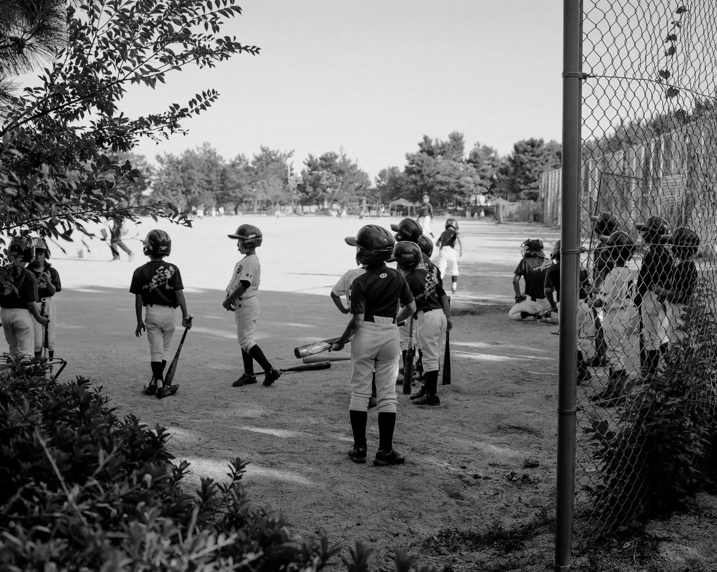 Team Builder Sponsorship