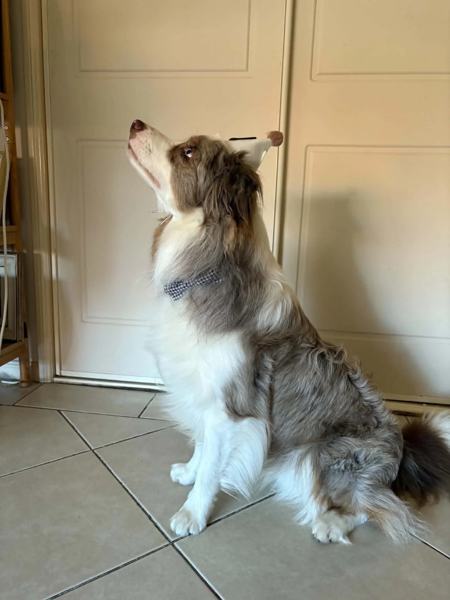 What a handsome Boy on his First Birthday
