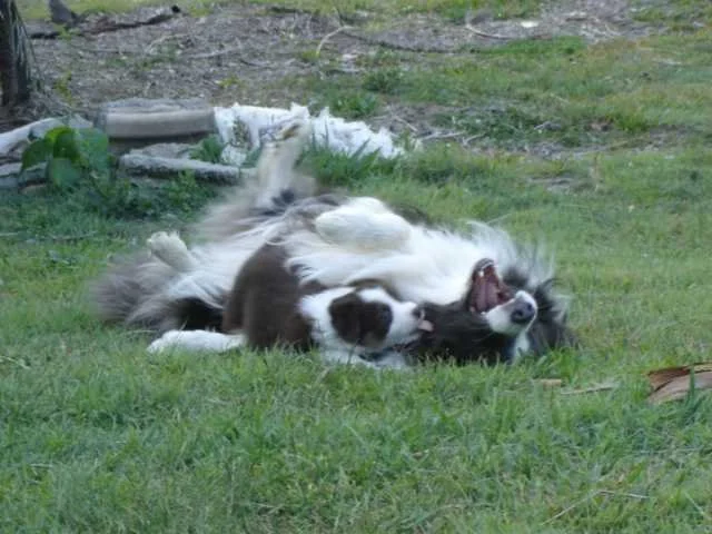 Jordie playing with Mia's baby
