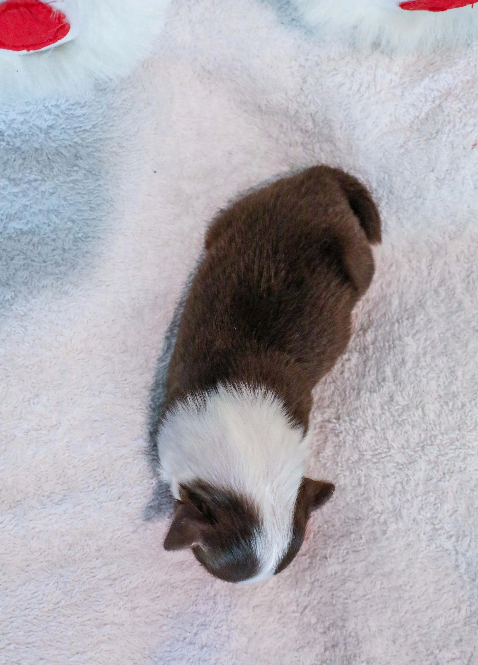 thumbnail_20251208-1E7A0911.jpg